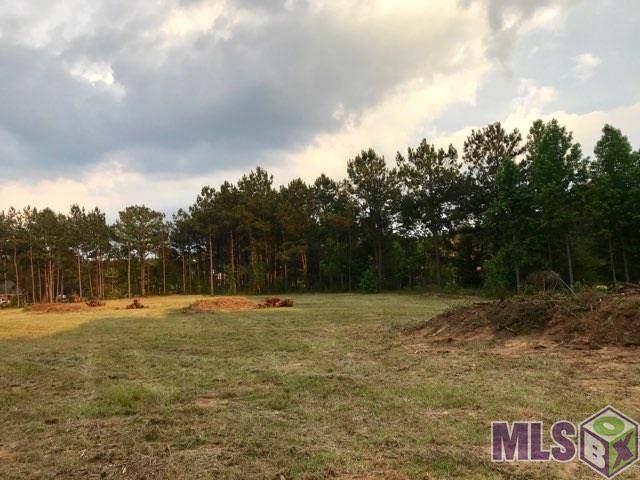 Clinton, LA 70722,Lot 38 N HILLSIDE DR