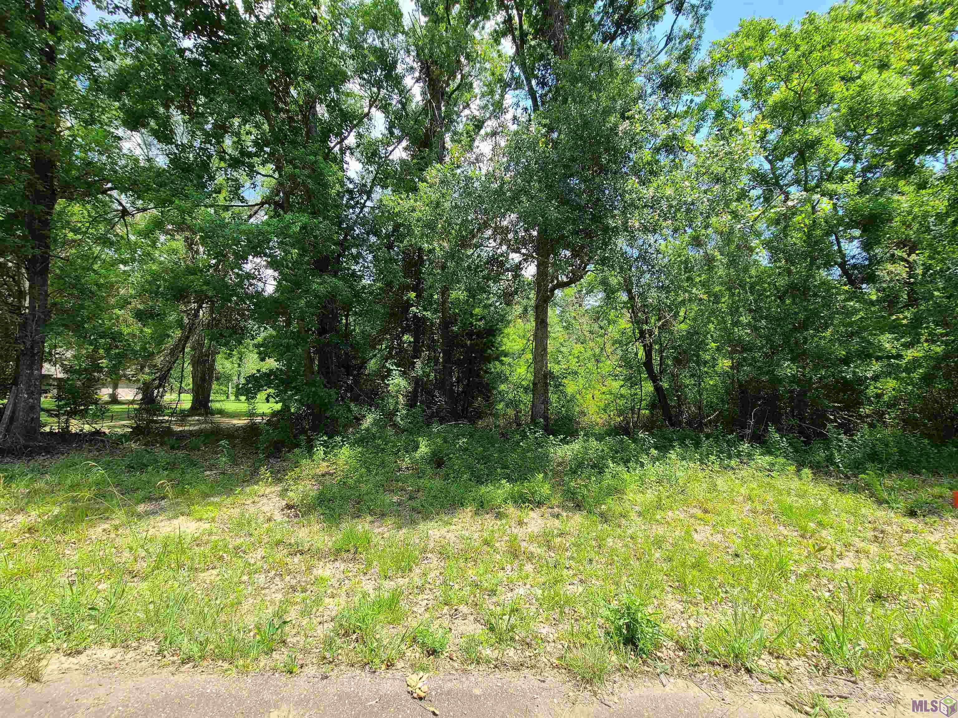 Springfield, LA 70462,TBD AMITE ACRES DR