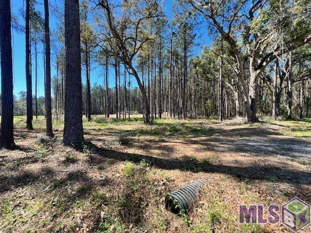 Denham Springs, LA 70706,Lot 38 NESOM RD