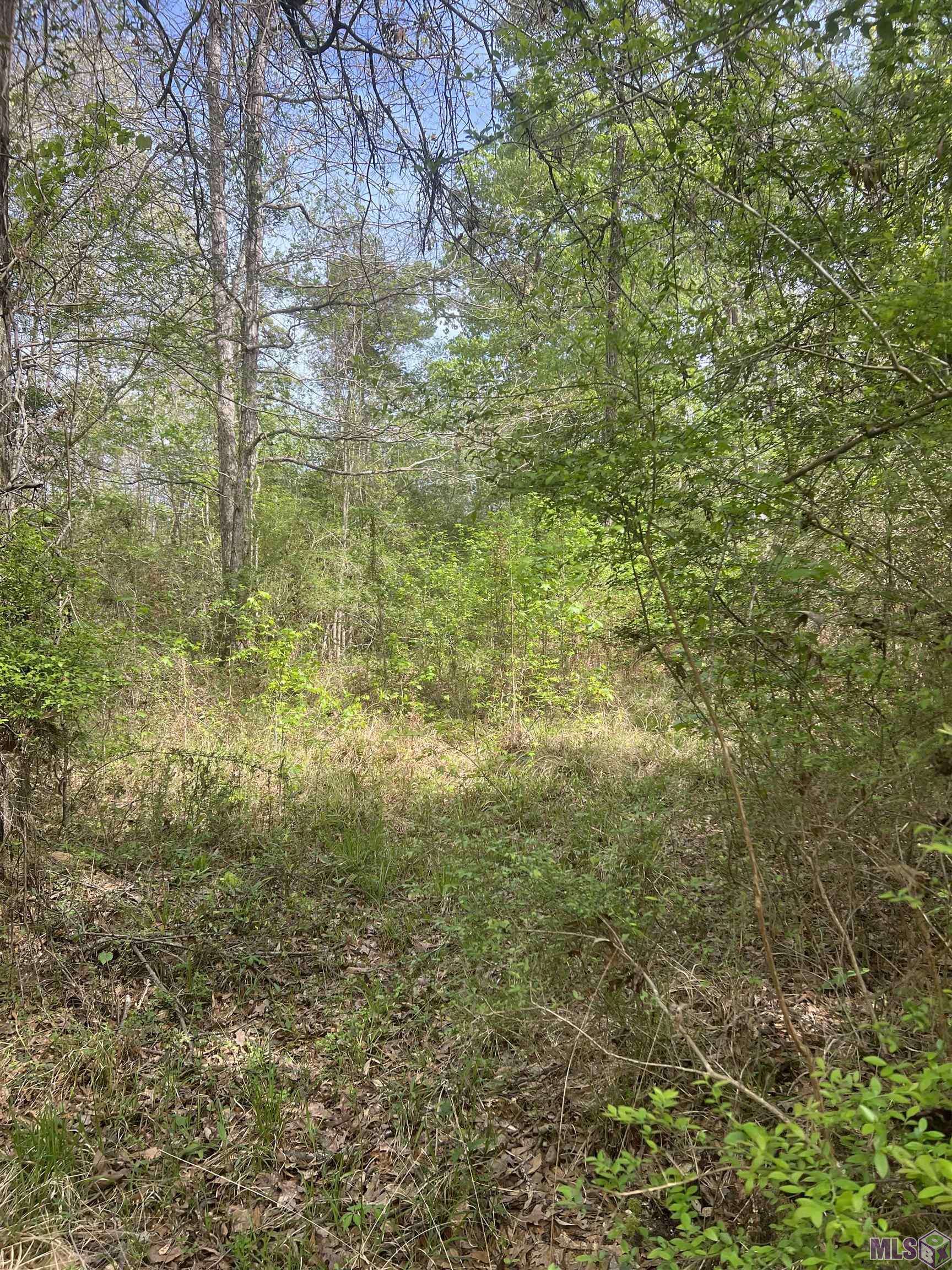 Clinton, LA 70722,TBD G-2 IDLEWILD RD