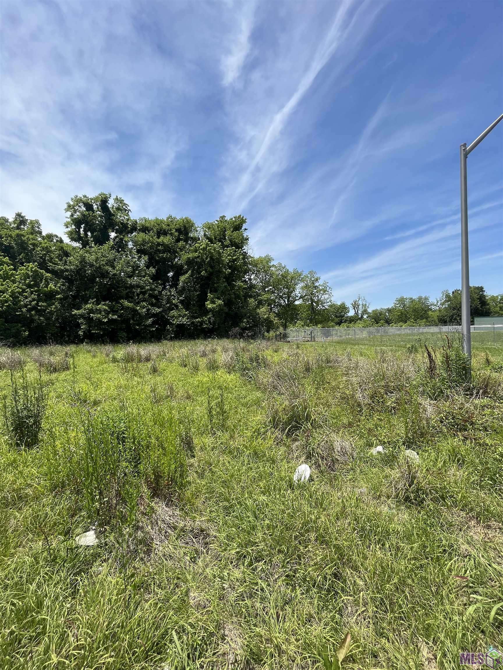 New Roads, LA 70760,Lot 13L JACKSON SQ