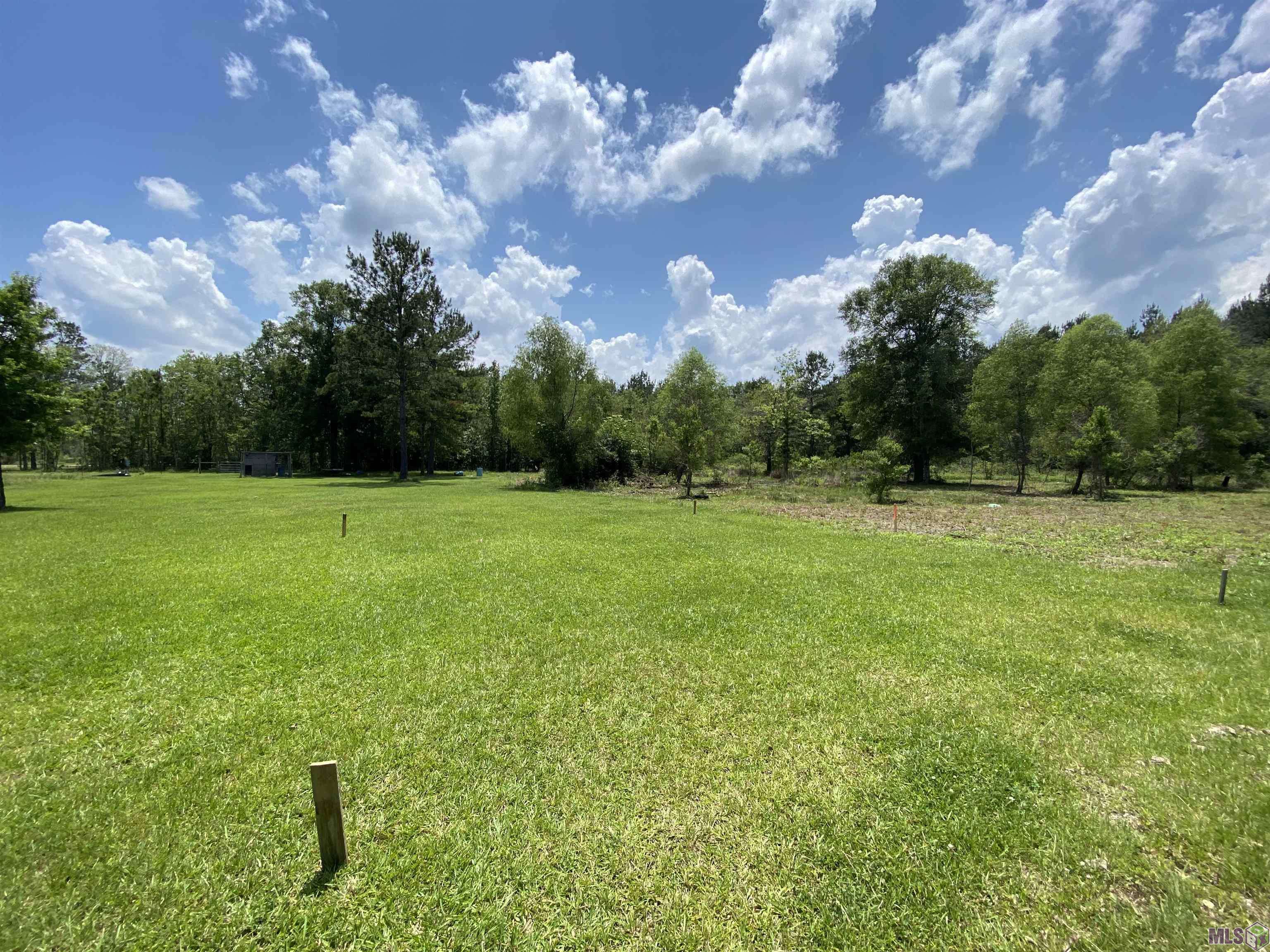 Walker, LA 70785,16740 WATKINS RD