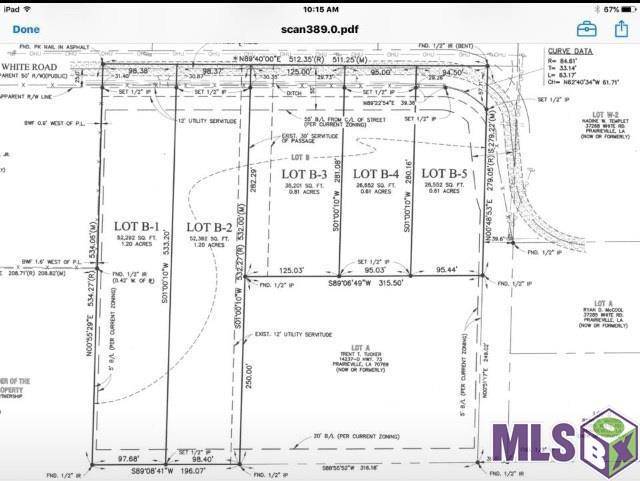 Prairieville, LA 70769,Lot B-2 WHITE RD