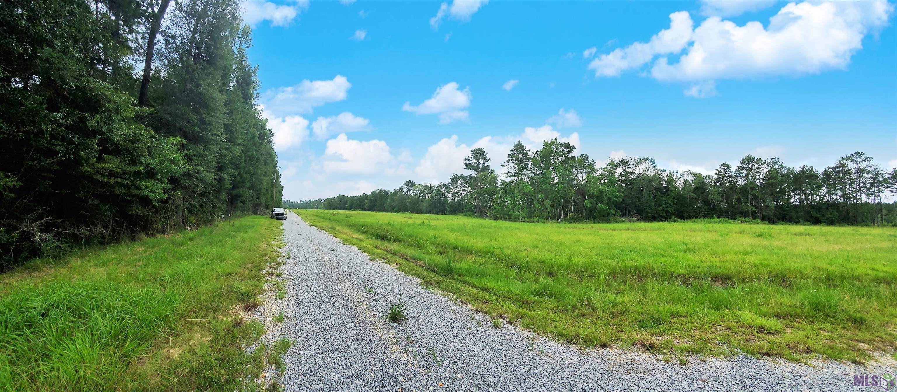 Walker, LA 70785,Lot 4 WEISS RD