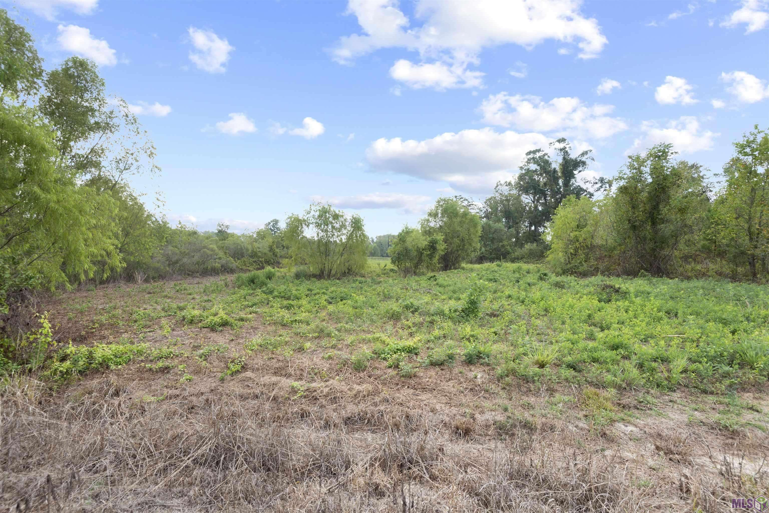 Prairieville, LA 70769,TBD Lot 23-A AMITE ACRES