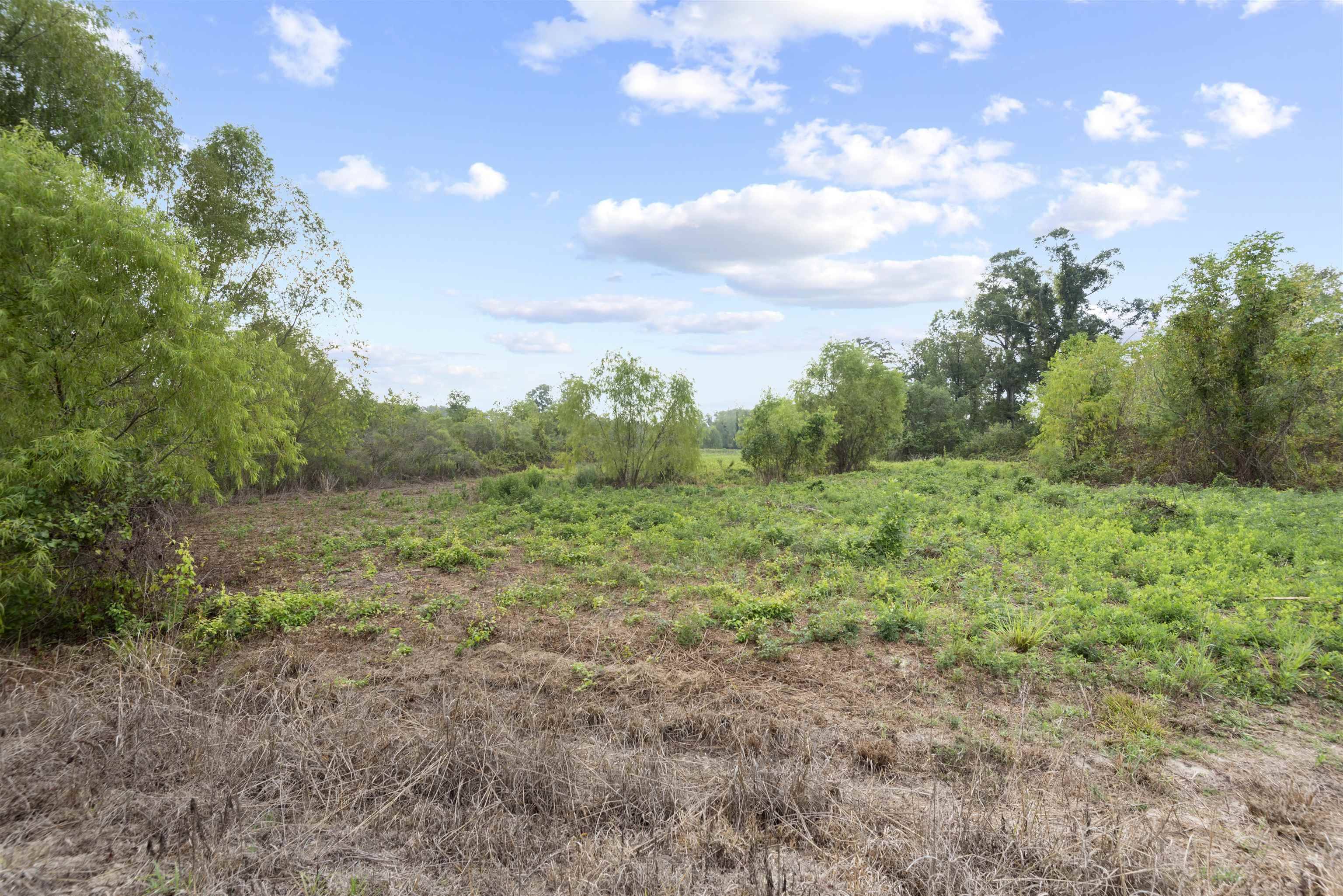 Prairieville, LA 70769,TBD Lot 23-A AMITE ACRES