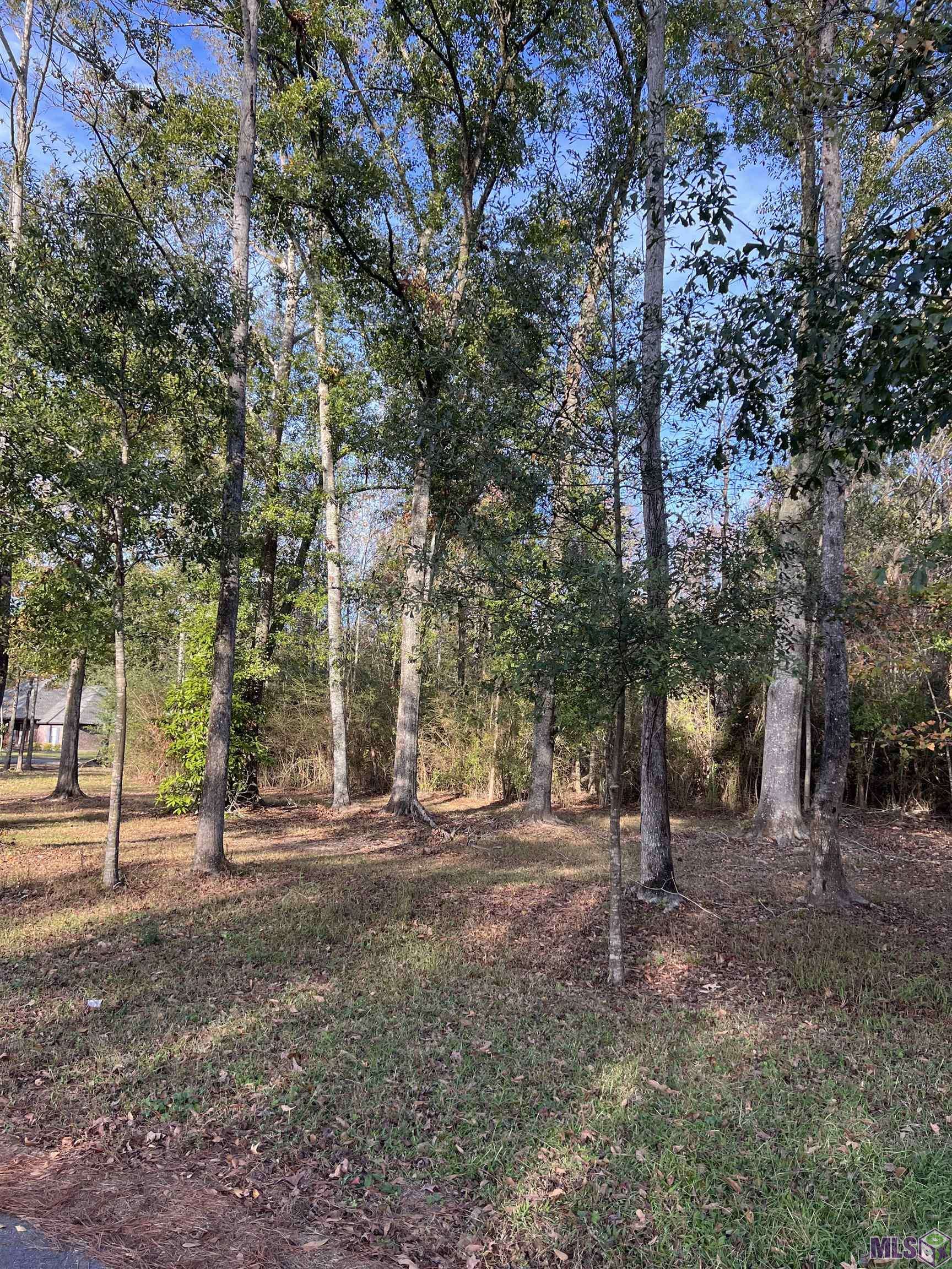 Prairieville, LA 70769,Lot 94 FABACHER DR