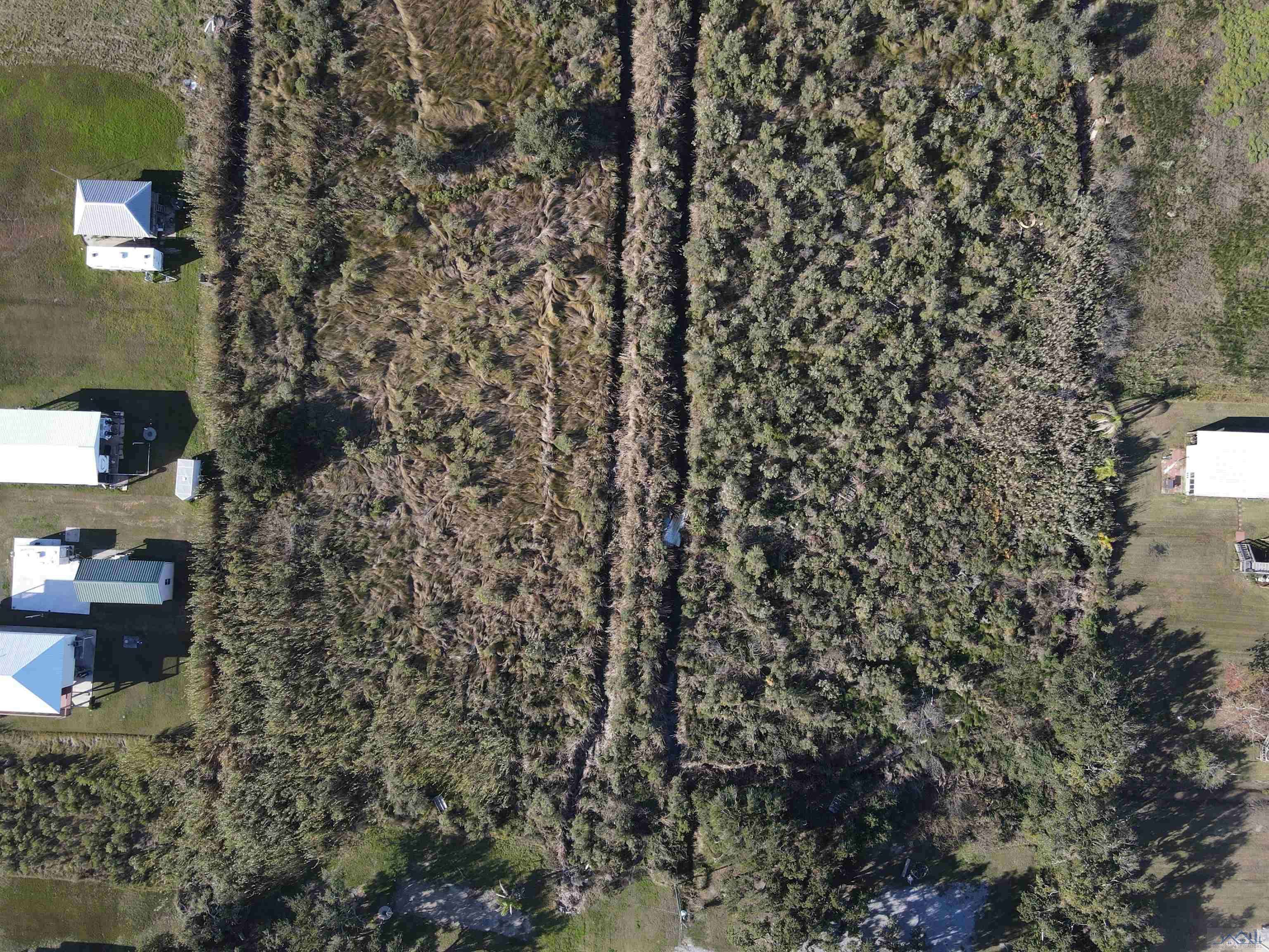 Grand Isle, LA 70358,Lots 2 & 3 Sq O ELM