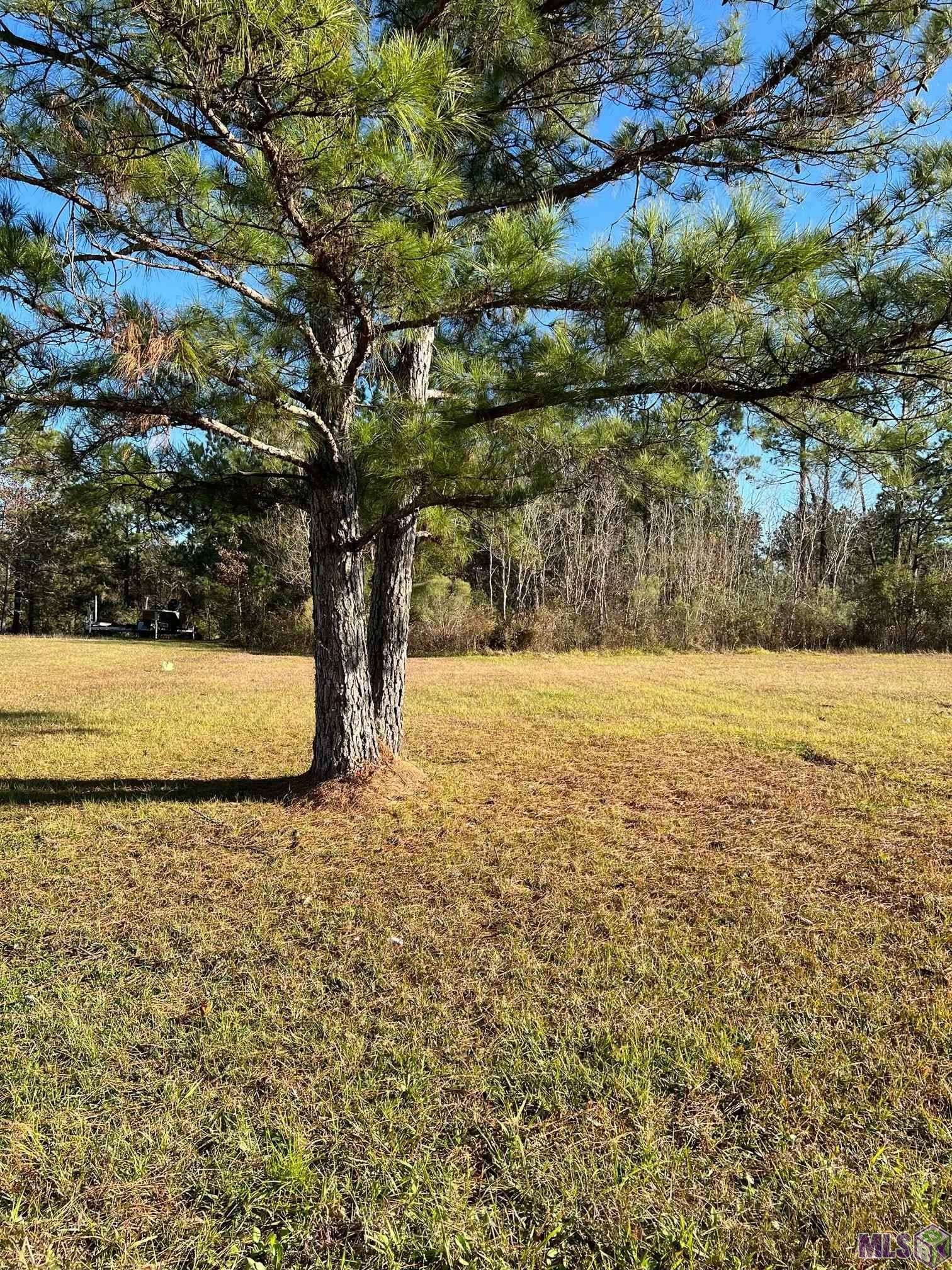 Killian, LA 70462,Lot 94 PONCHATOULA DR