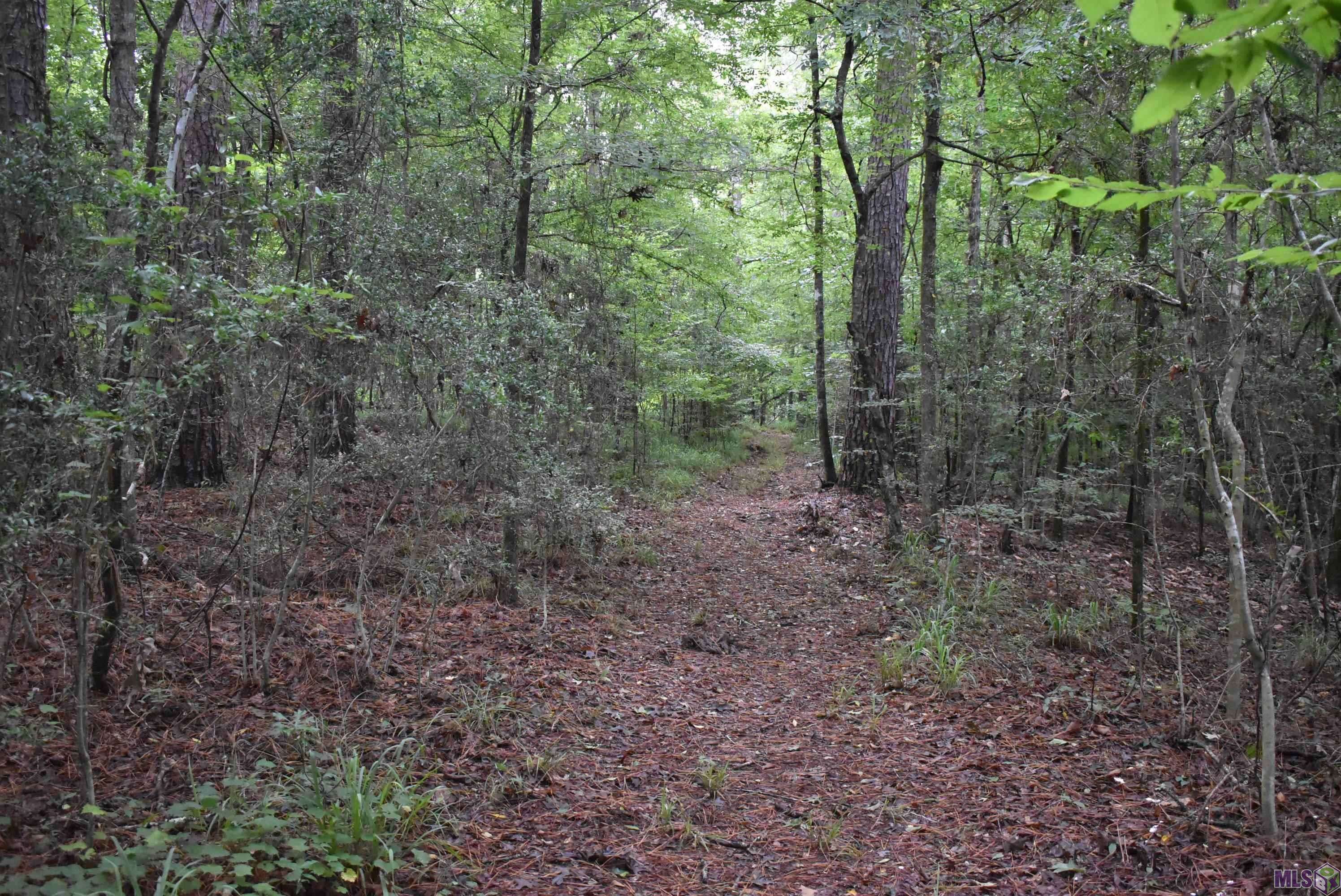 St Francisville, LA 70775,Lot 3 (7.0 Ac) FREELAND RD