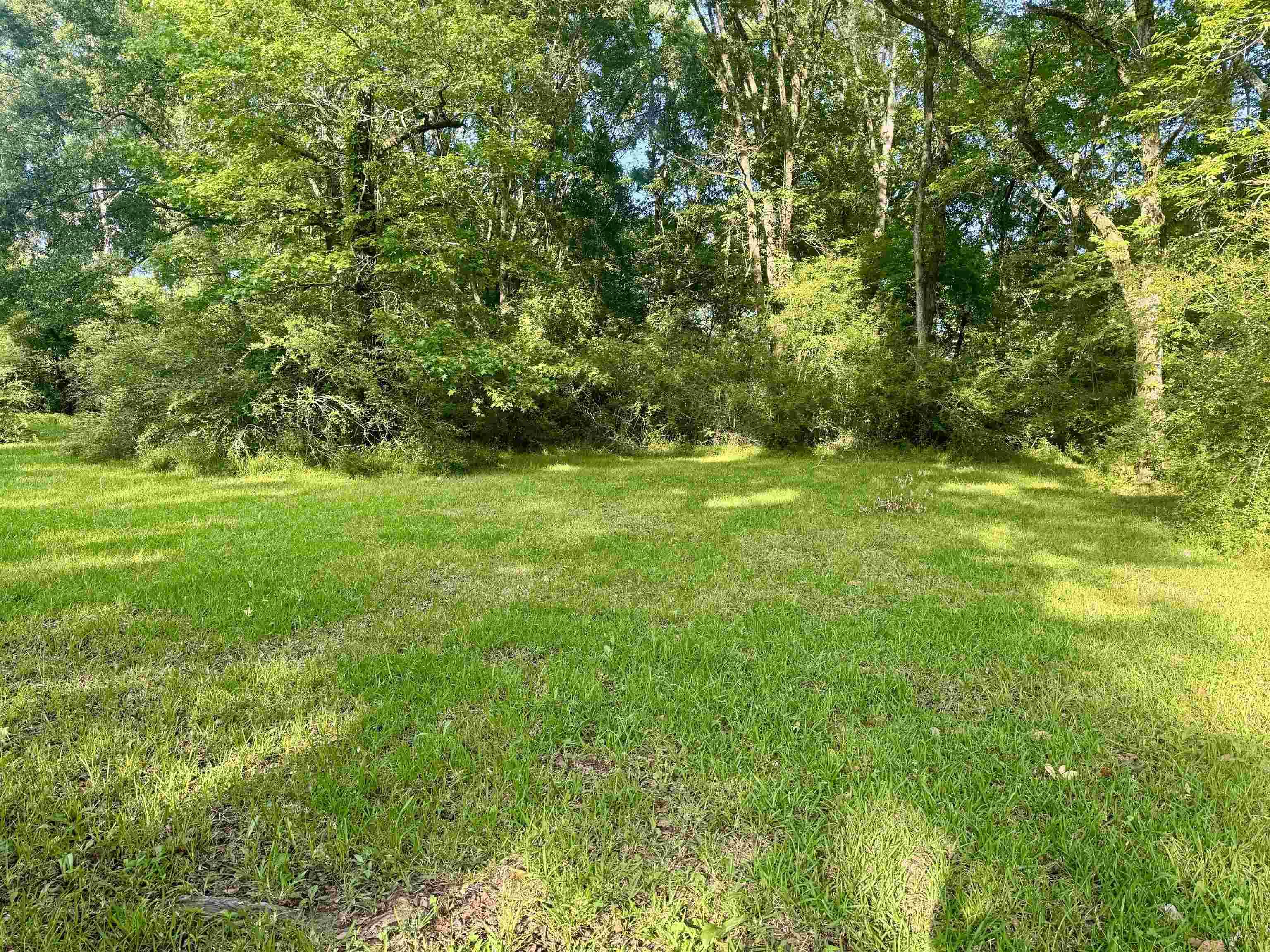 Baker, LA 70714,Lot C HAZELOAK DR