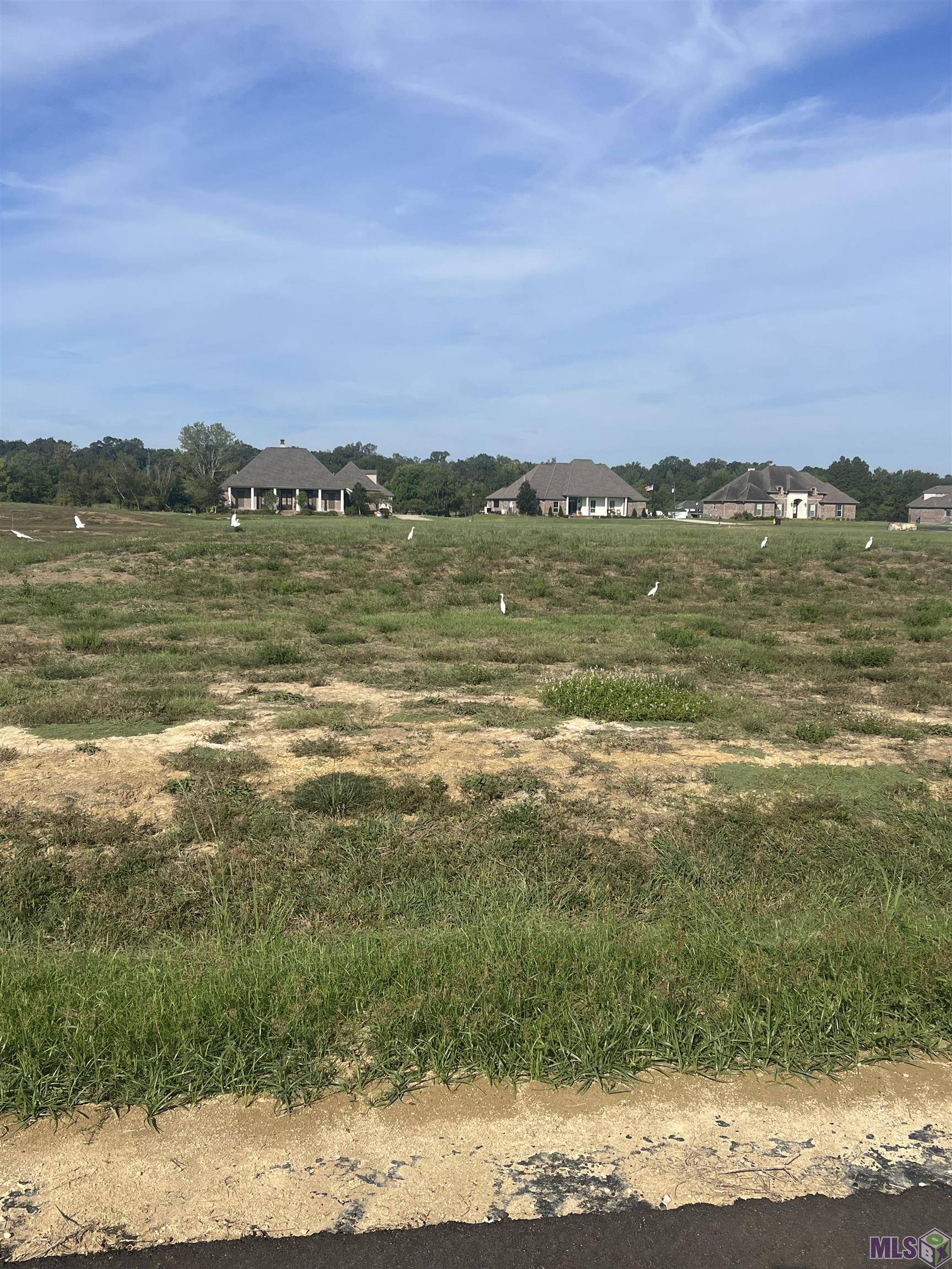 Gonzales, LA 70737,Lot # 32 BUDDY GORE RD