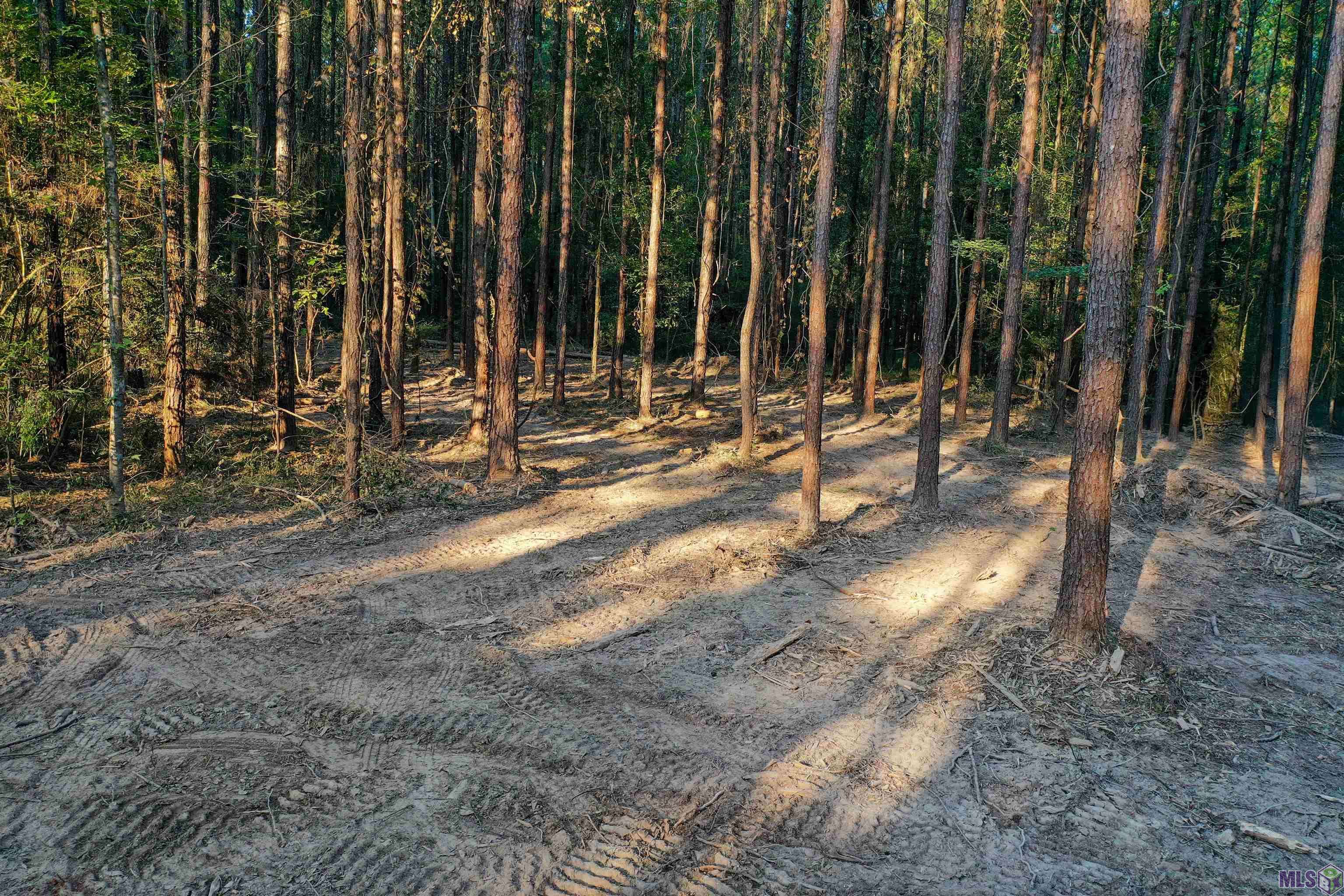 Pine Grove, LA 70453,Lot 11 LA HWY 449