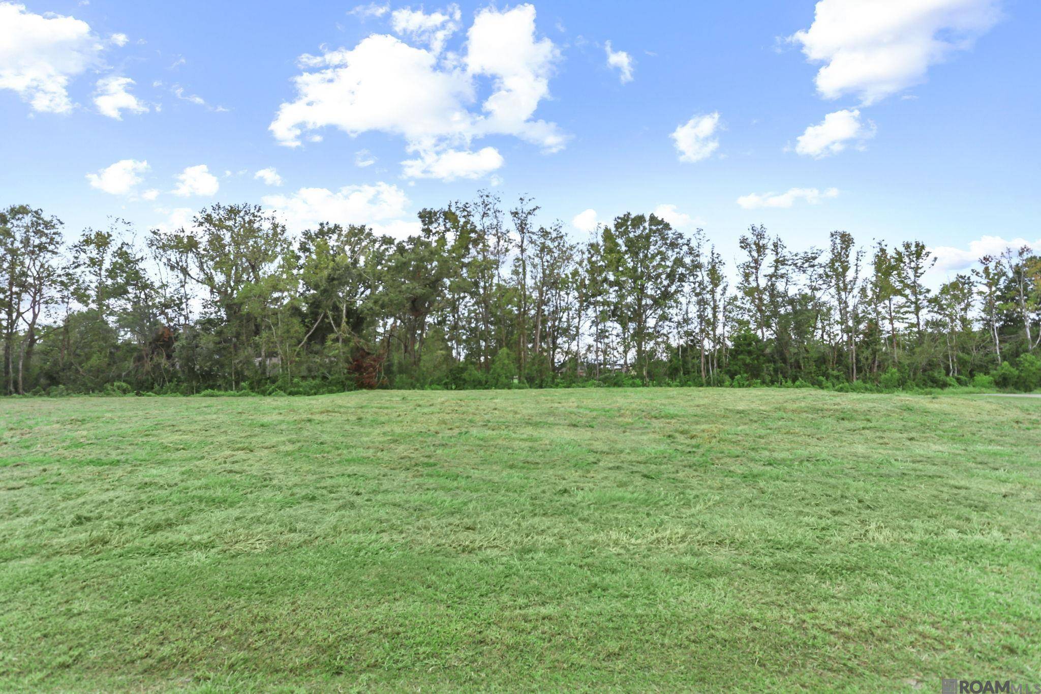 St Amant, LA 70774,46283 CHESTNUT TRL