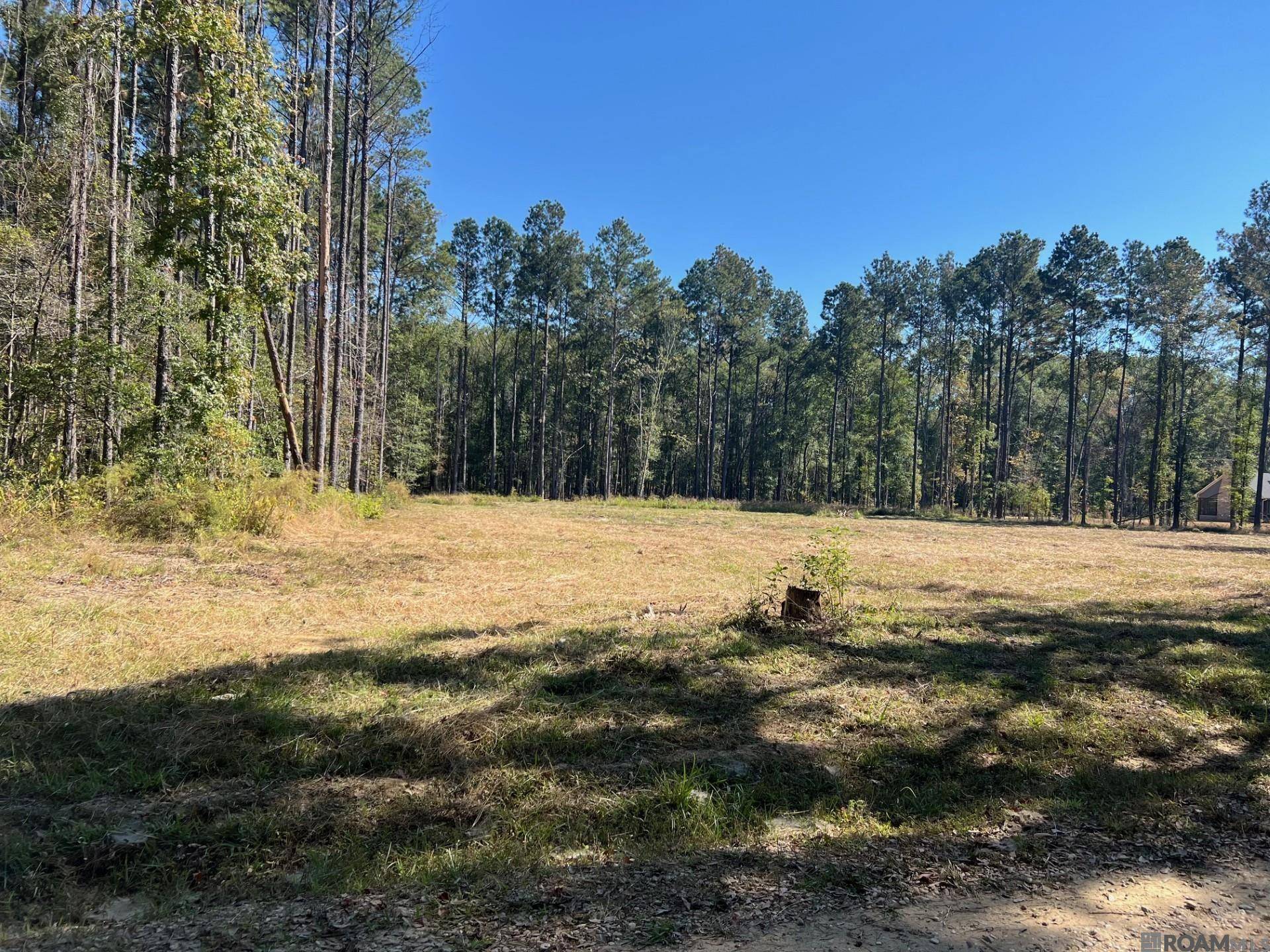 Denham Springs, LA 70706,Lot 50 BURKETT LN