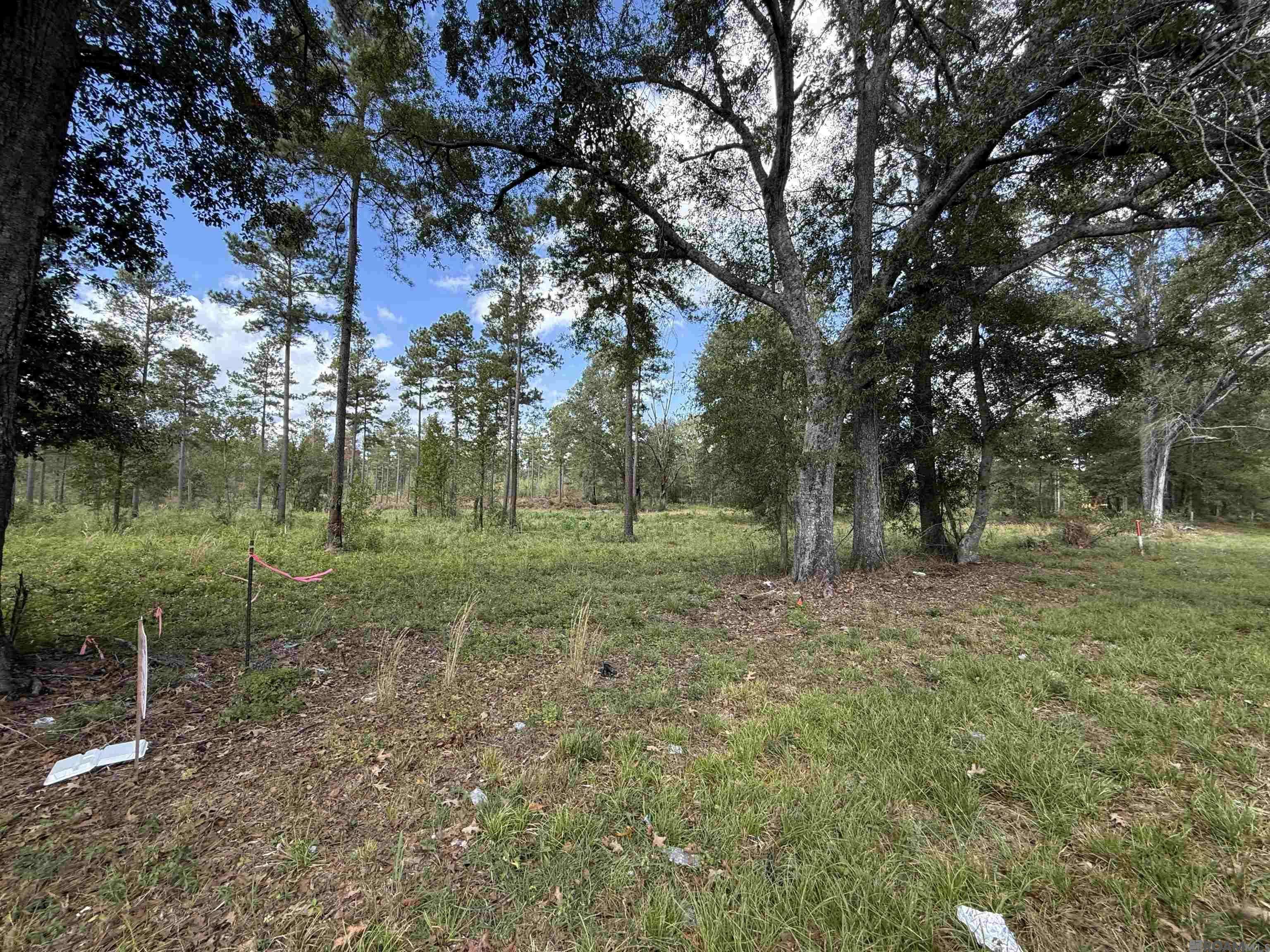 Centreville, MS 39631,LOT 5 Old Hwy 33