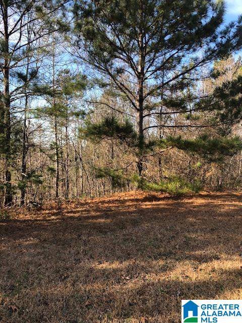 Wellington, AL 36279,533 TERRACE MEADOW DRIVE #13