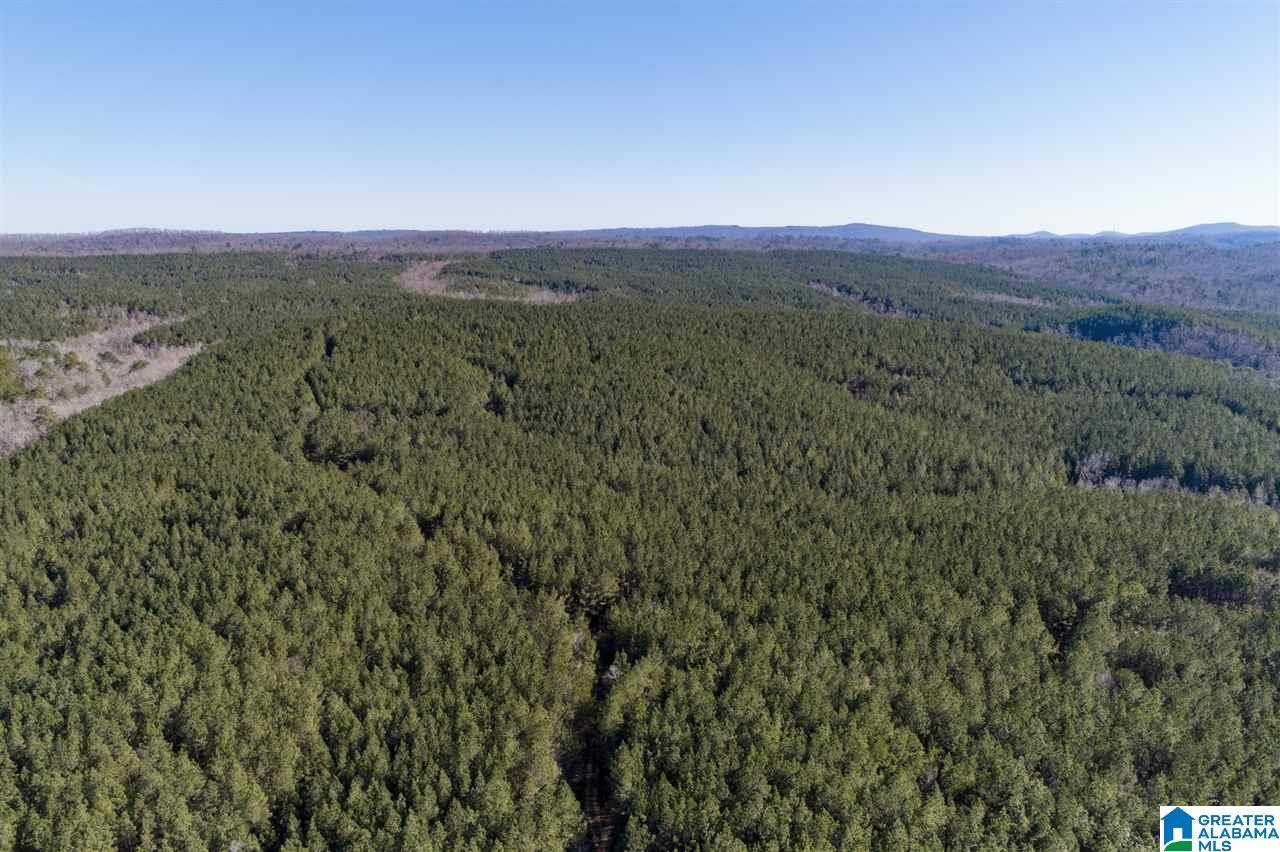 Remlap, AL 35133,0 MOUNTAIN ROAD #800ac