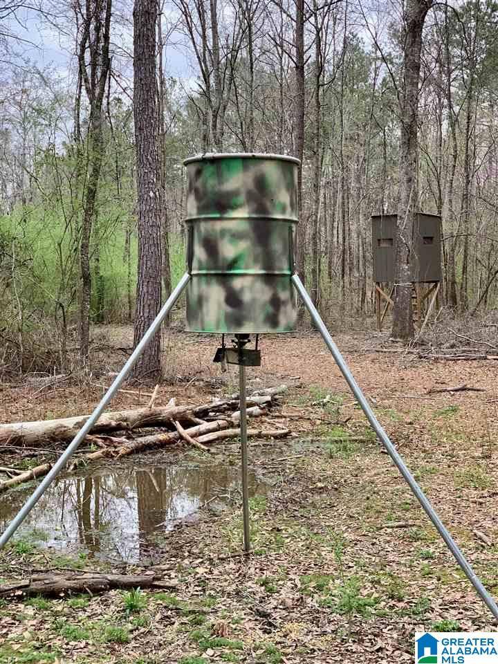 Vincent, AL 35178,168 GARRISON ROAD