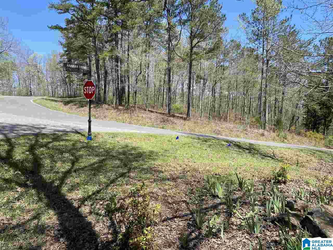 Odenville, AL 35120,390 ARADON TRACE #14