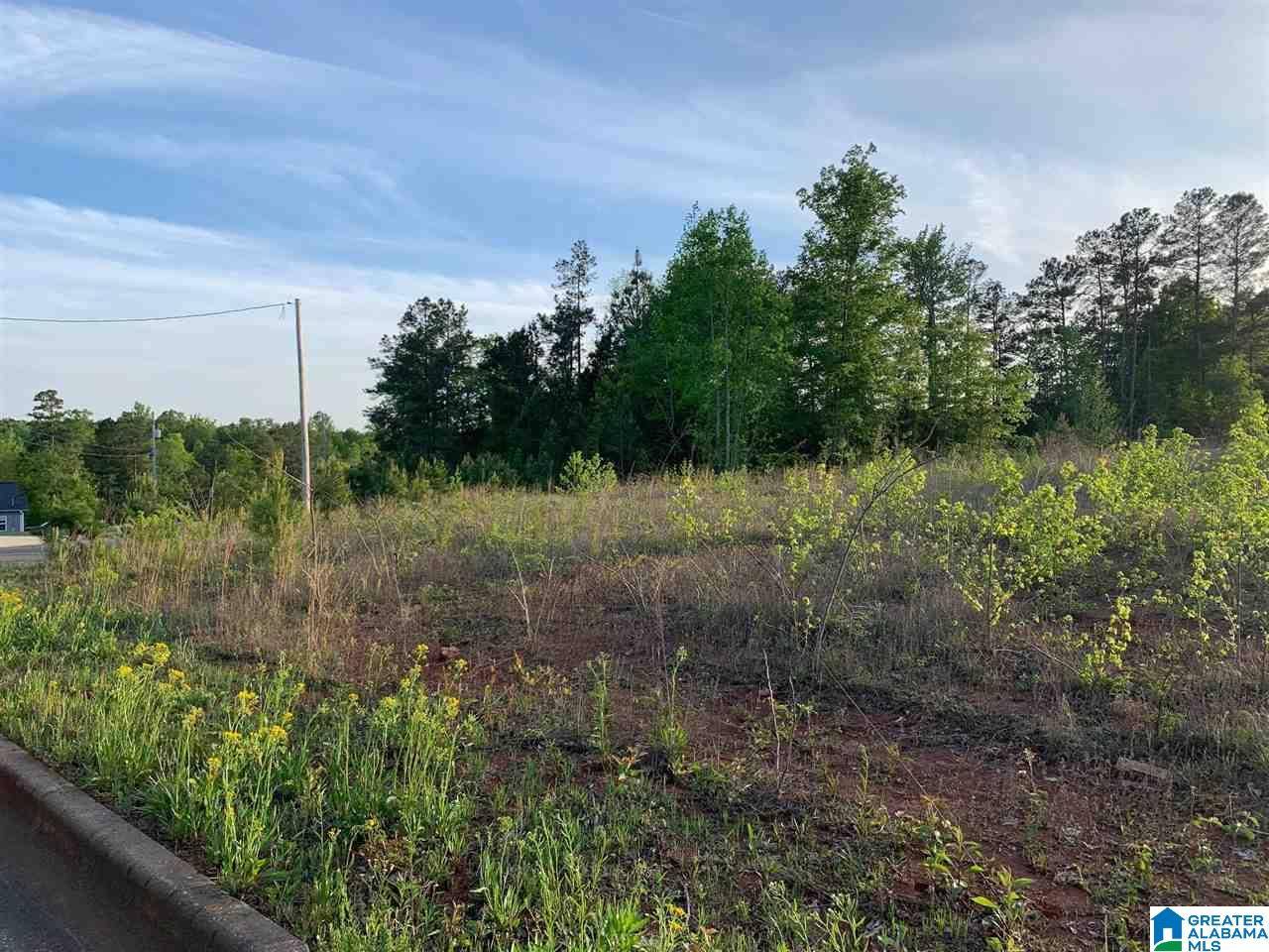 Weaver, AL 36277,0 ZOE COURT #9