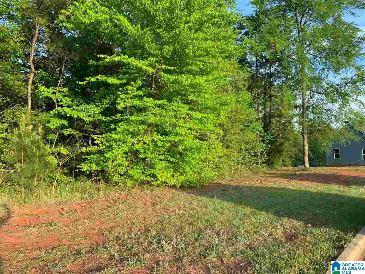 Weaver, AL 36277,0 ZOE COURT #11