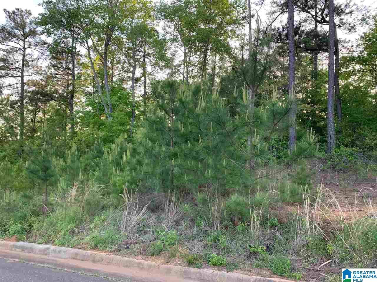 Weaver, AL 36277,243 WILSON WAY #6