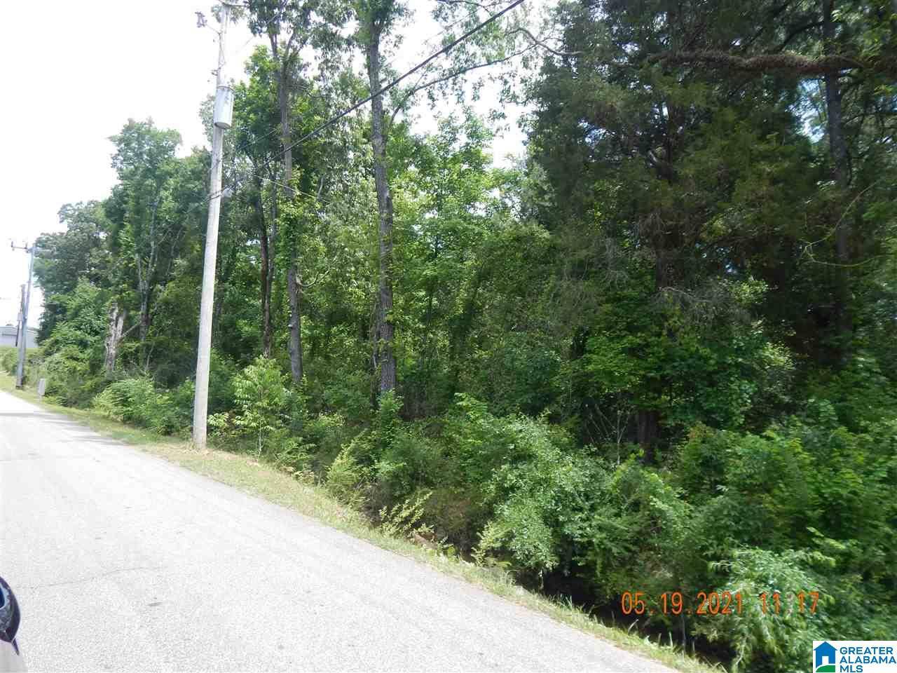 Bessemer, AL 35022,1724 SW 4TH AVENUE #lot 6