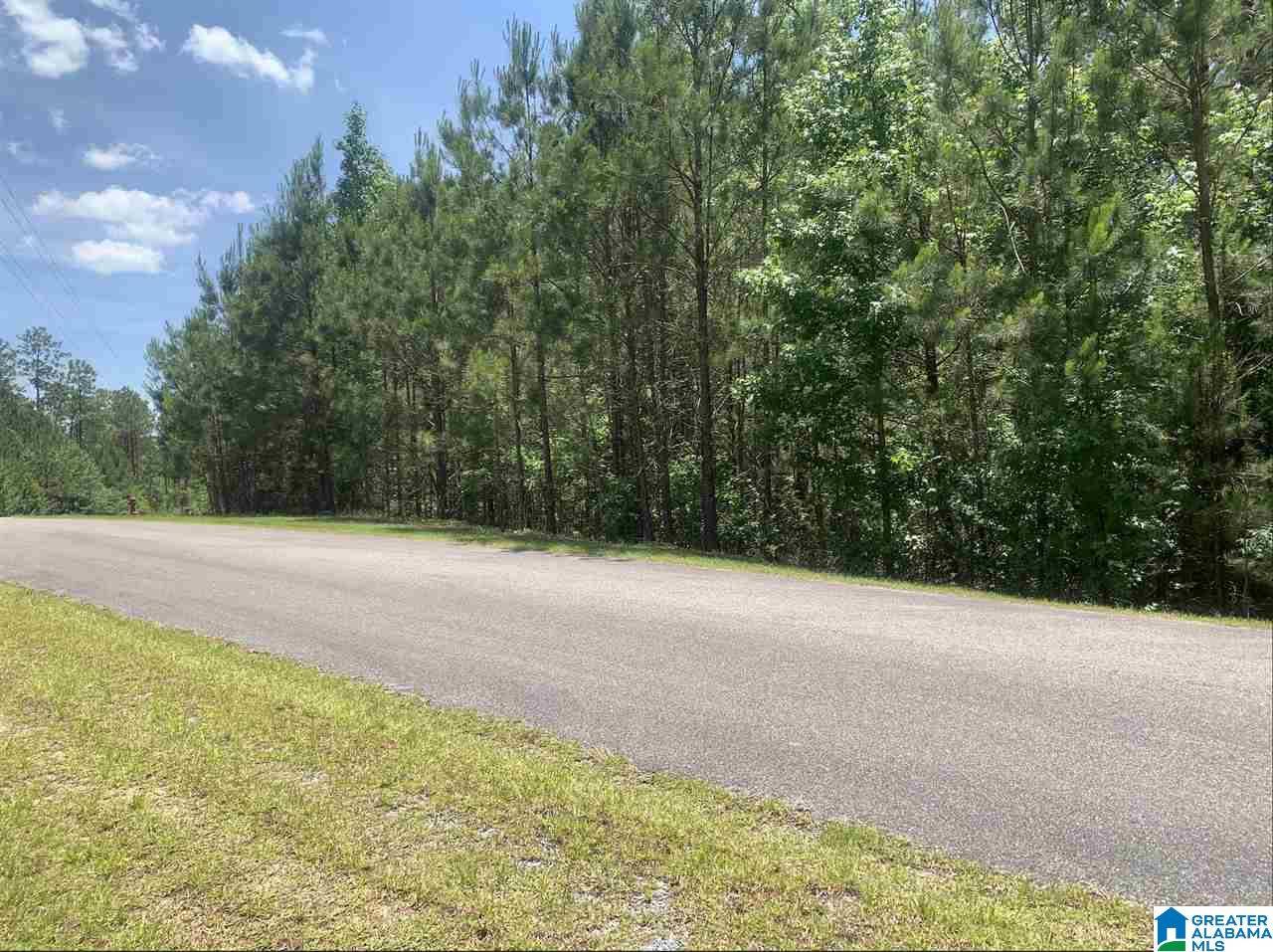 Sylacauga, AL 35151,SHORE SIDE LANE #Lot 149