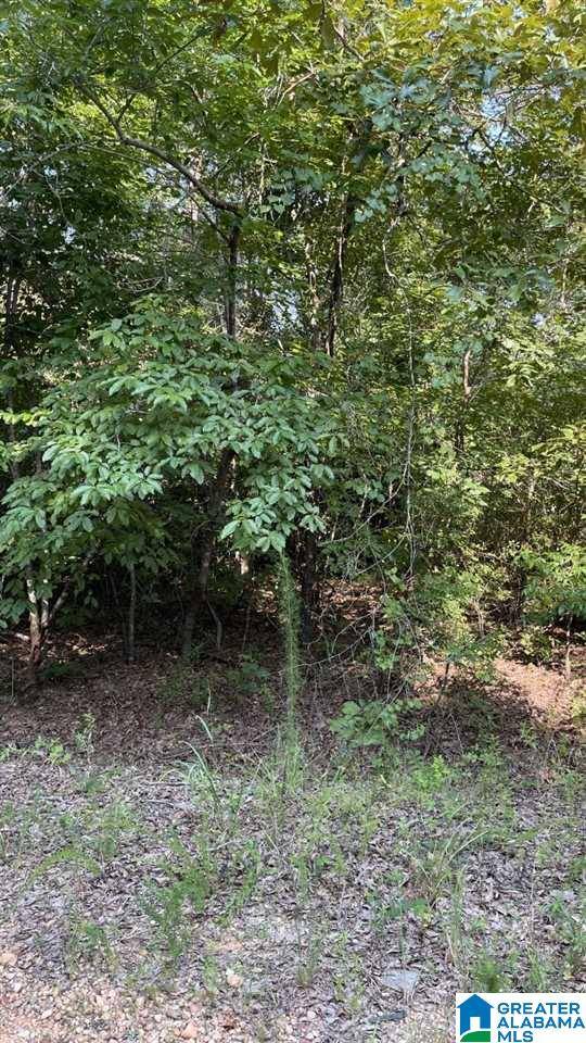 Clanton, AL 35045,0 COUNTY ROAD 790 #LOT 11