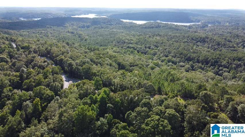 Rockford, AL 36091,0 EAGLE MOUNTAIN ROAD #1