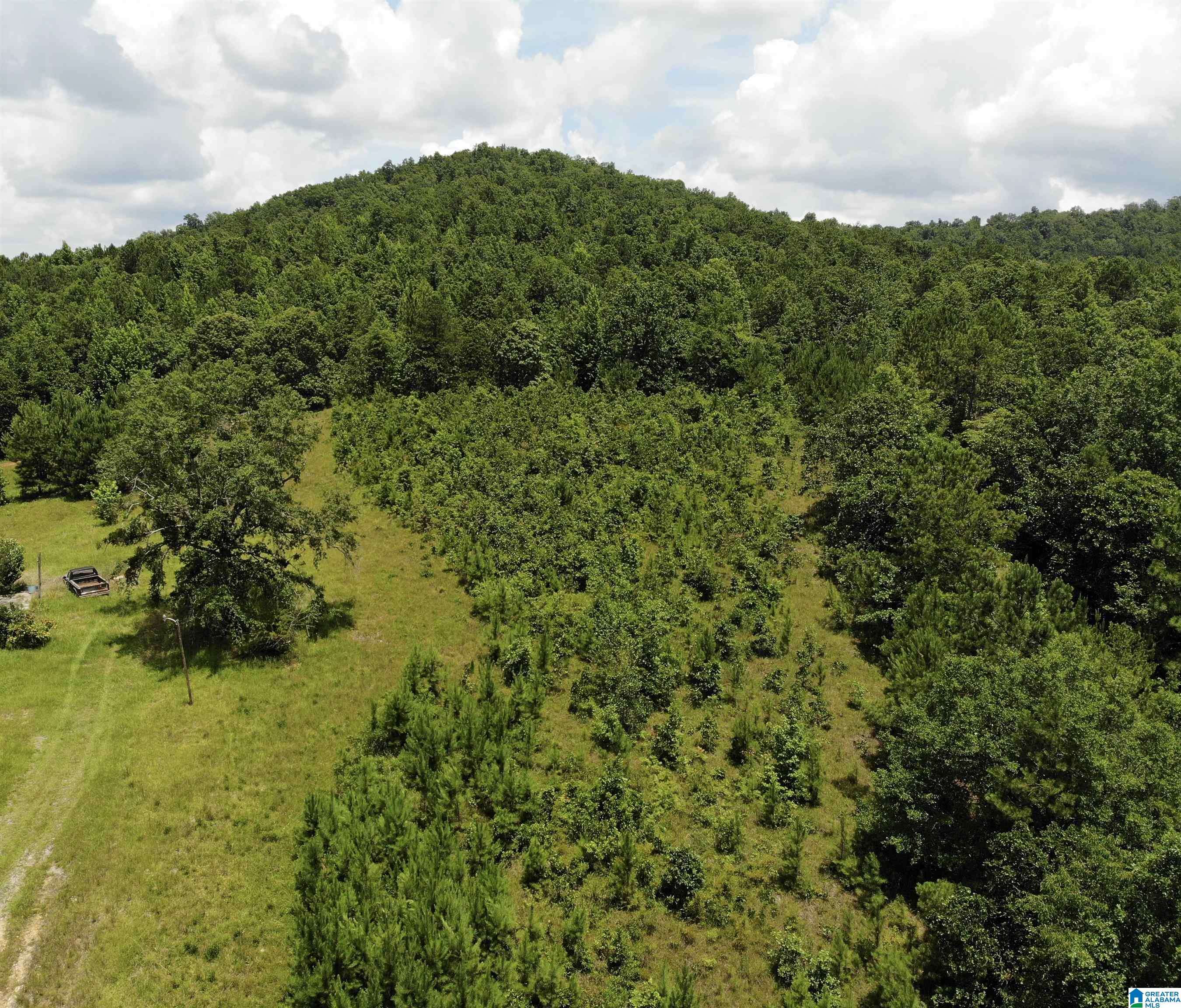 Alpine, AL 35014,12712 PLANT ROAD #0