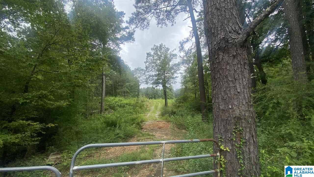 Trafford, AL 35172,1009 DEAVER WALKER ROAD #1009