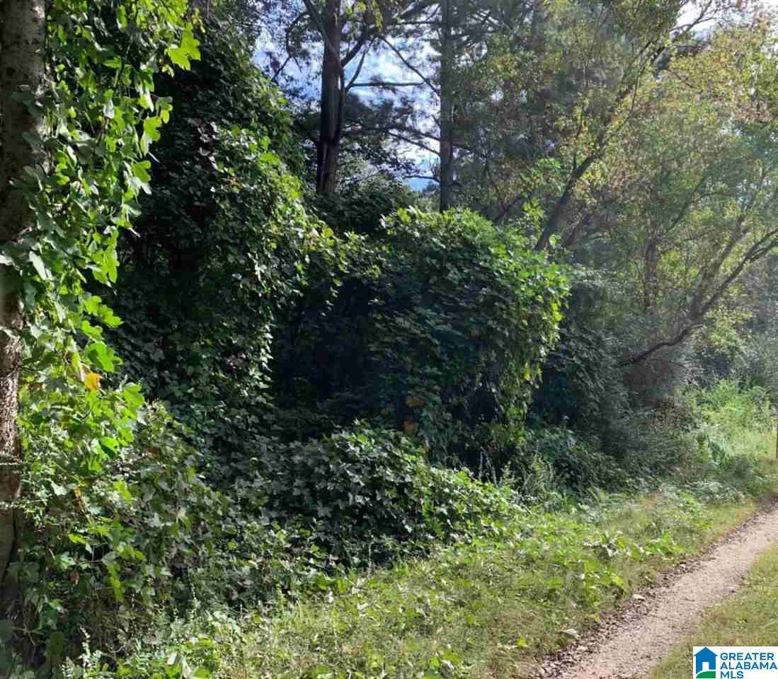Anniston, AL 36201,FRANCIS AVENUE #.44 acres