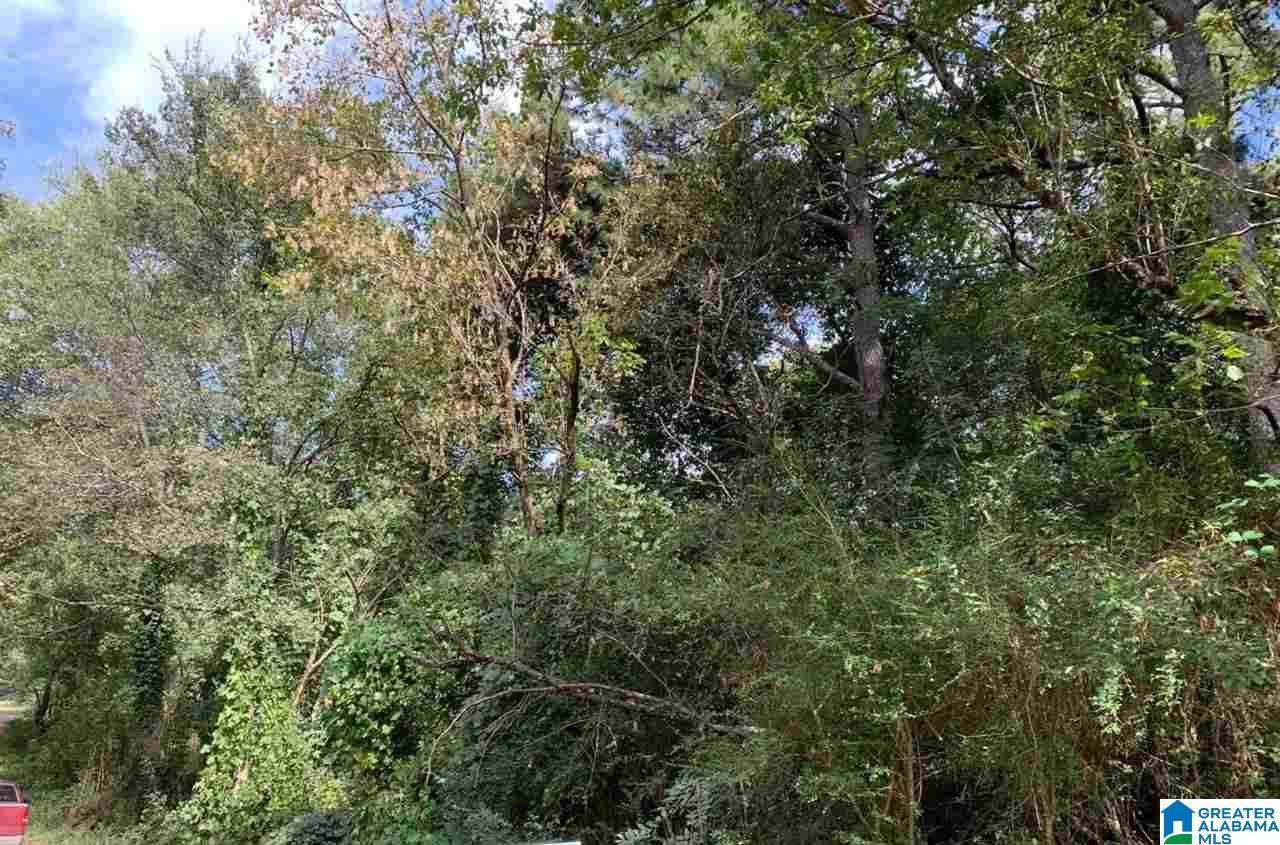 Anniston, AL 36201,FRANCIS AVENUE #.44 acres