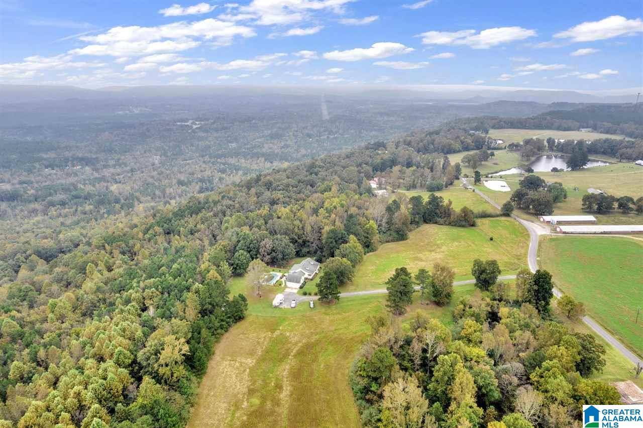 Hanceville, AL 35077,975 COUNTY ROAD 72