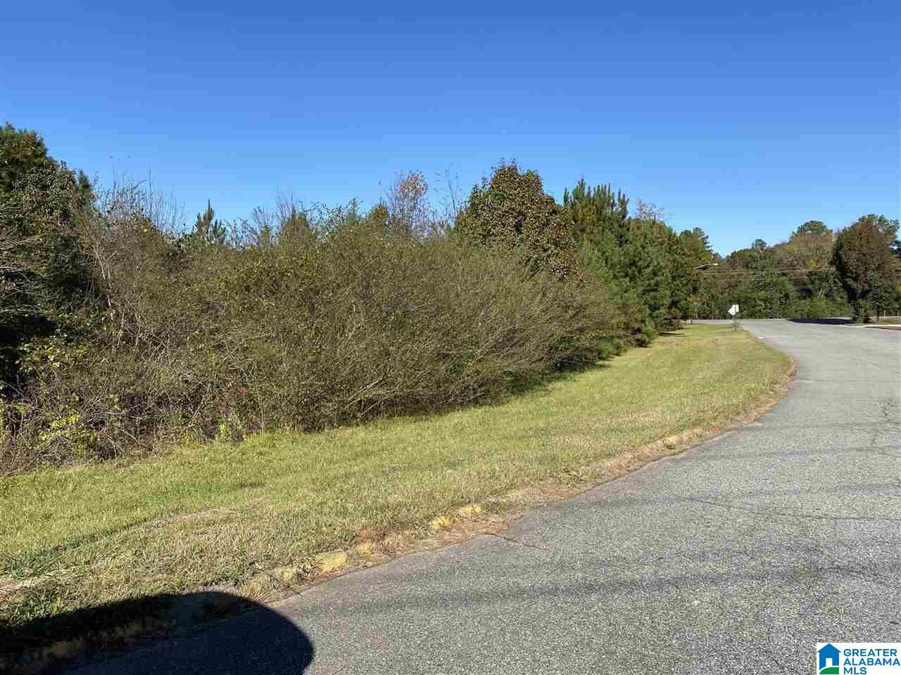 Talladega, AL 35160,0 HIGHWAY 77 #0
