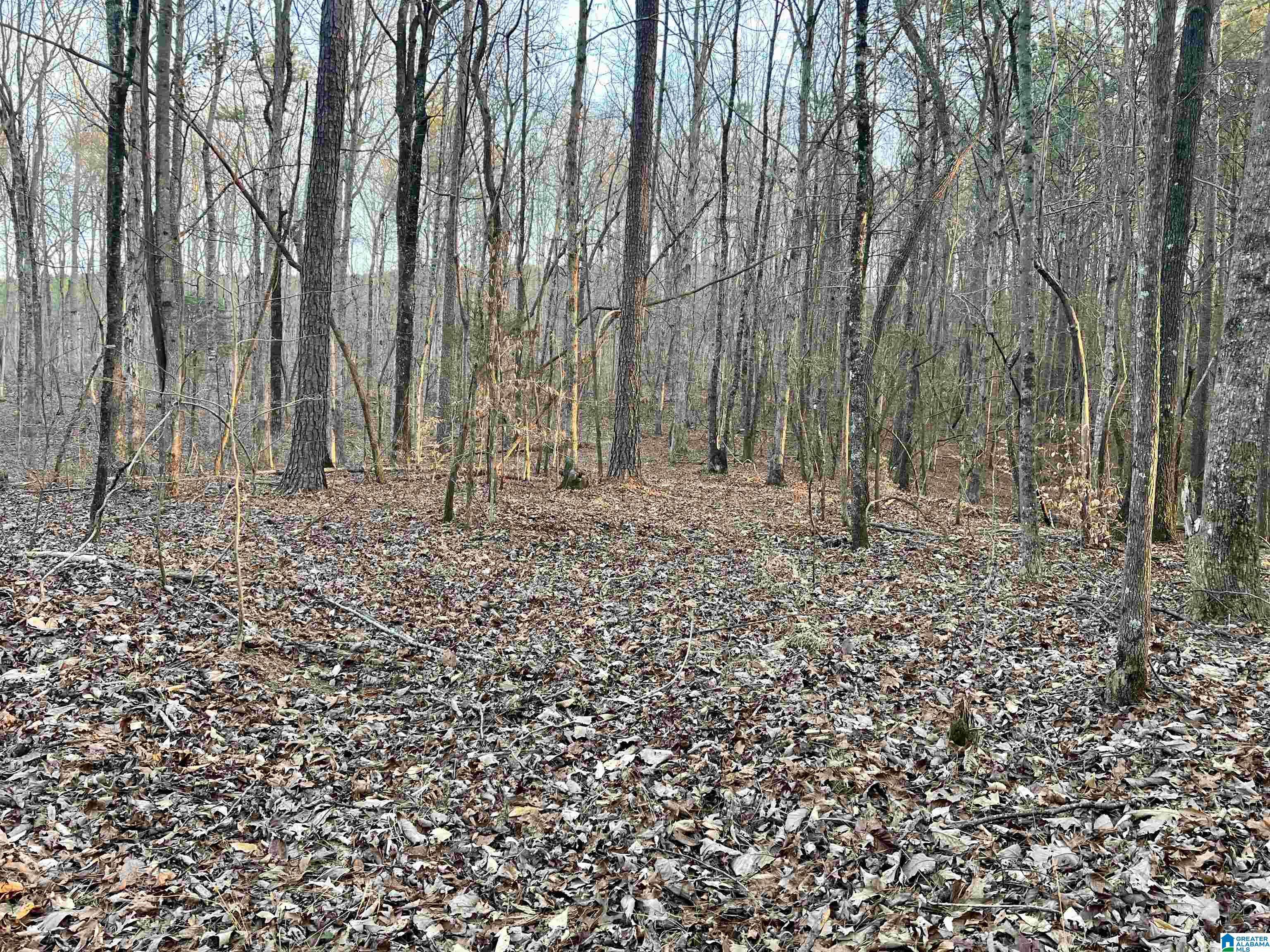 Ashville, AL 35953,00007 SPRINGHOLLOW ROAD #7
