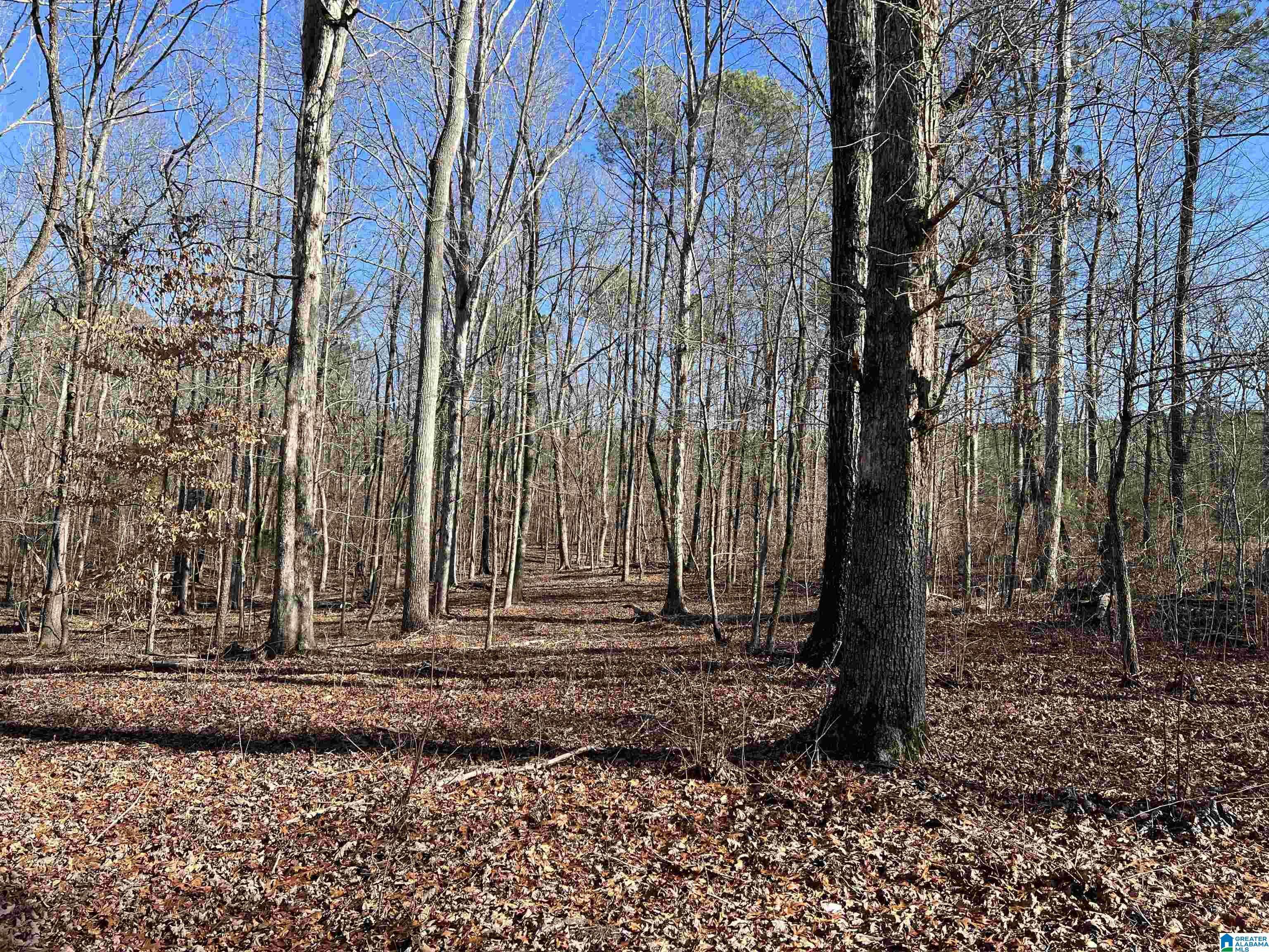 Ashville, AL 35953,0009 SPRINGHOLLOW ROAD #9