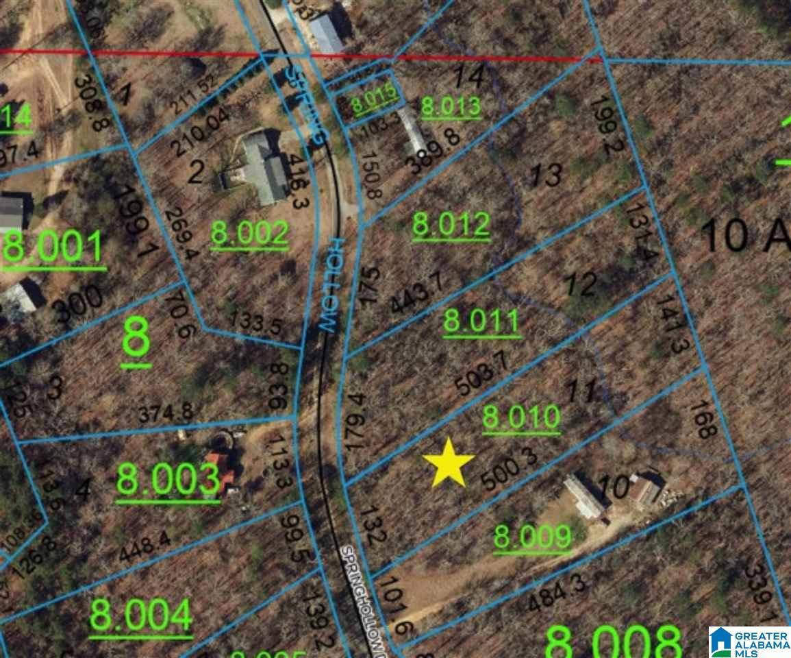 Ashville, AL 35953,000 SPRINGHOLLOW ROAD #11