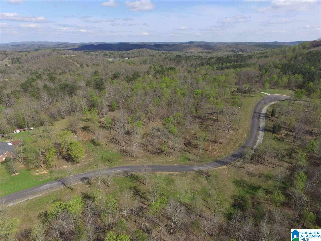 Springville, AL 35146,STONE RIDGE DRIVE #Lot 3