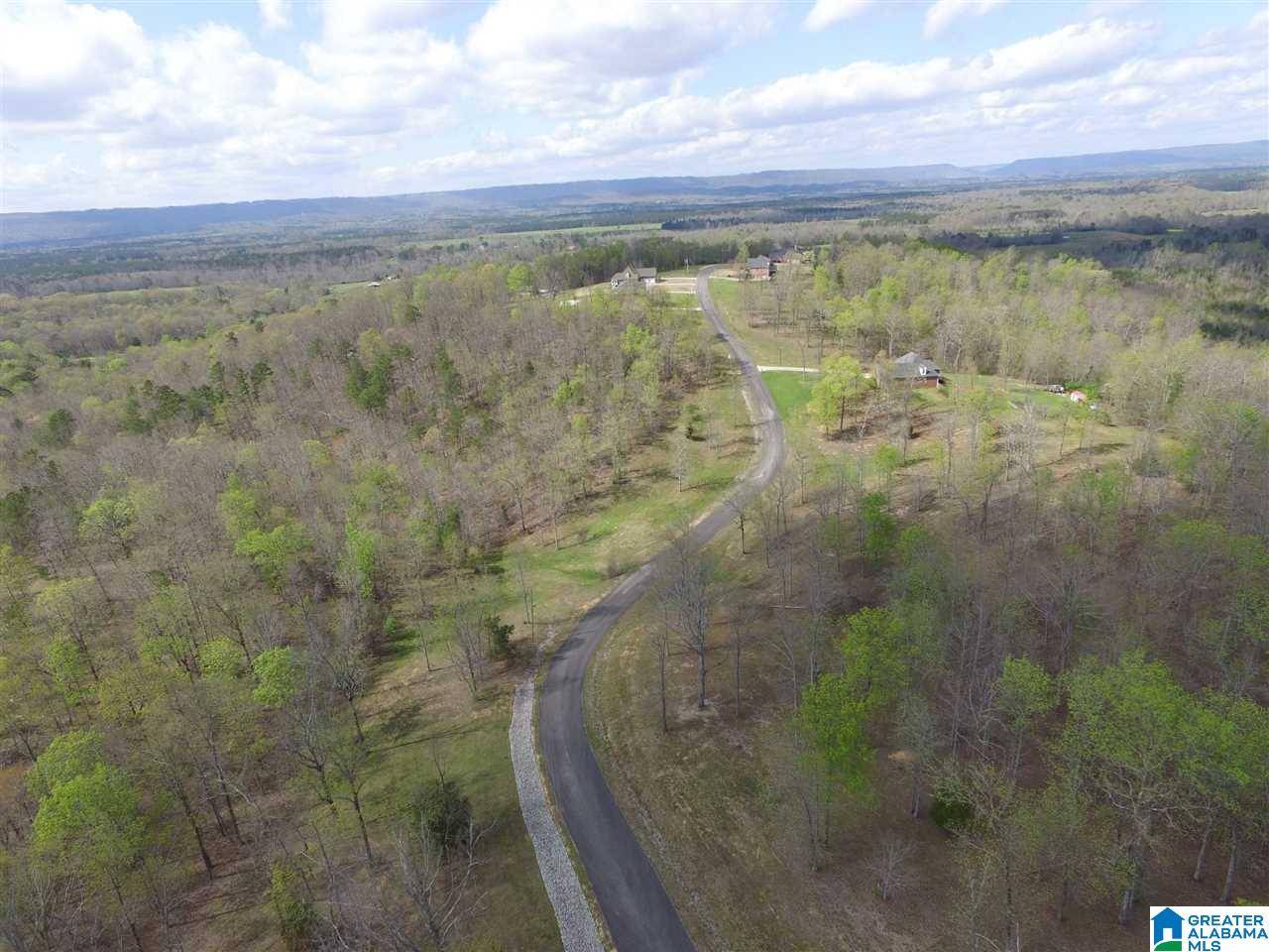 Springville, AL 35146,558 STONE RIDGE DRIVE #Lot 10