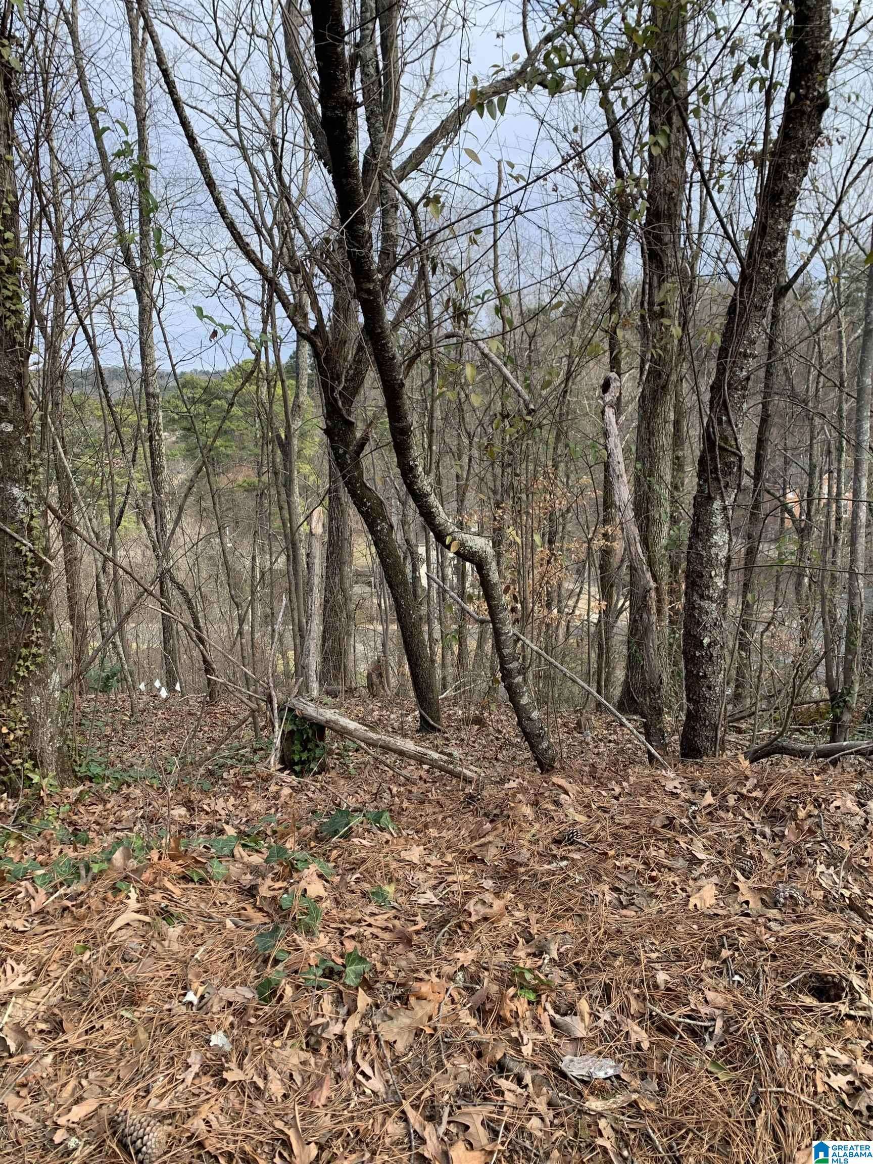 Homewood, AL 35216,1703 RIDGEWOOD PLACE #79