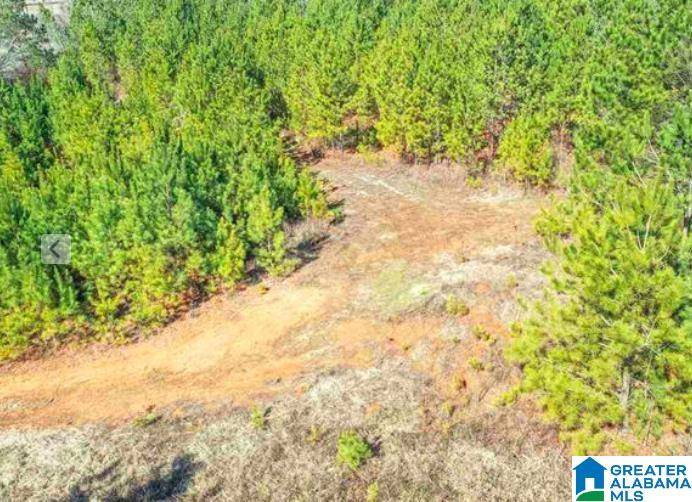 Springville, AL 35146,0 HIGHWAY 174 #0