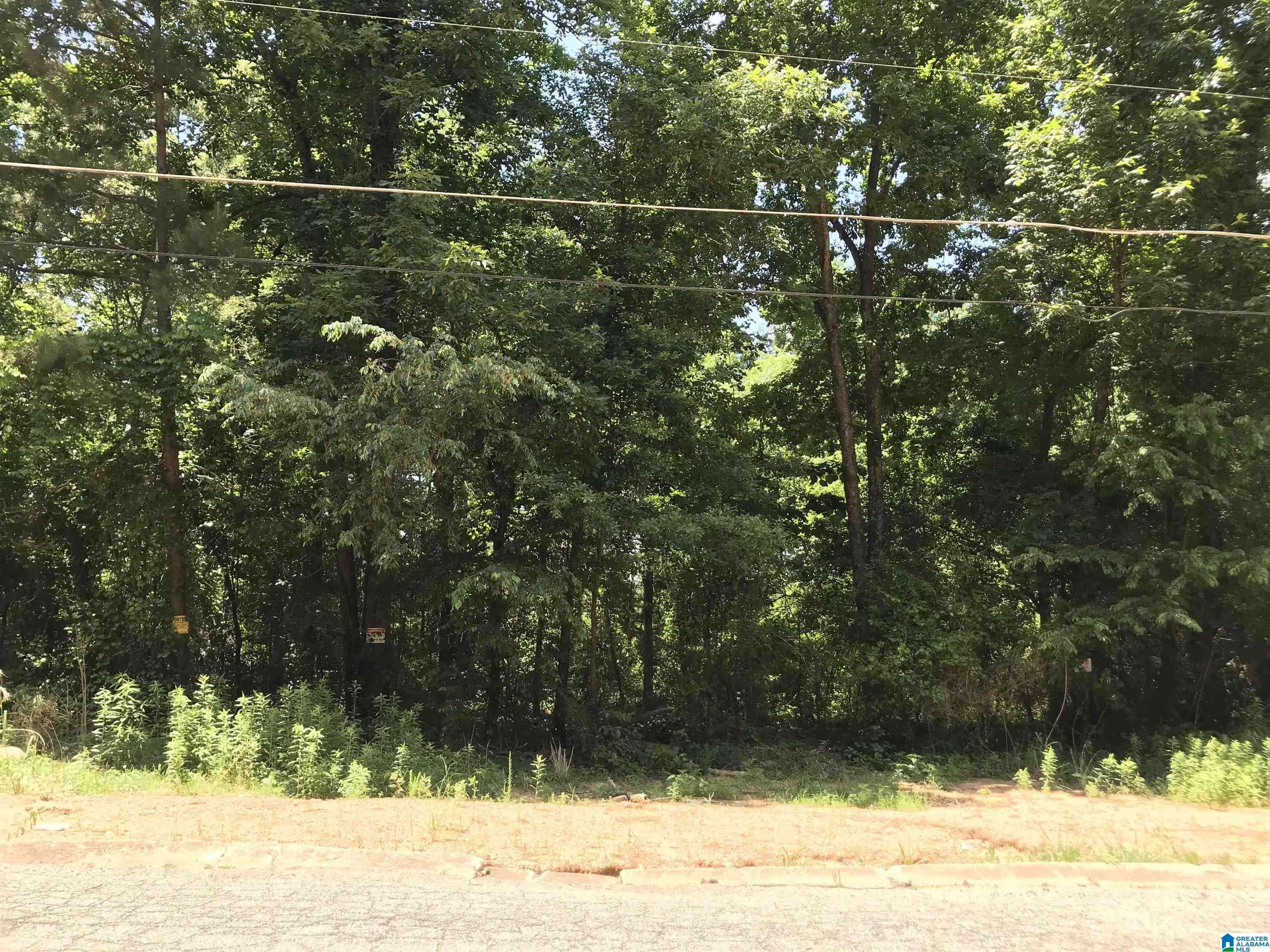 Talladega, AL 35160,BRYAN STREET #12