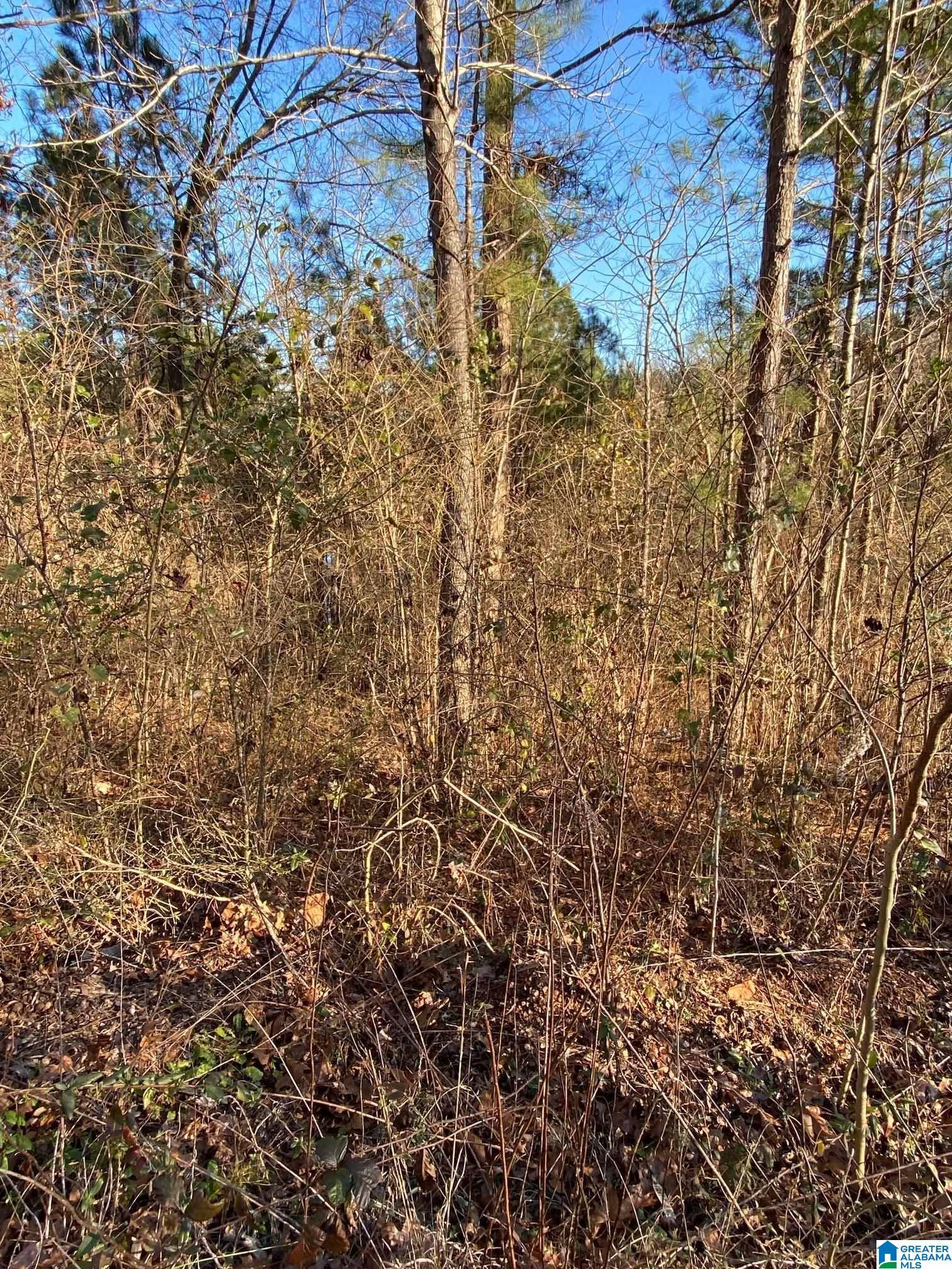 Springville, AL 35146,0 WOODLAND HILLS DRIVE #2 and 3