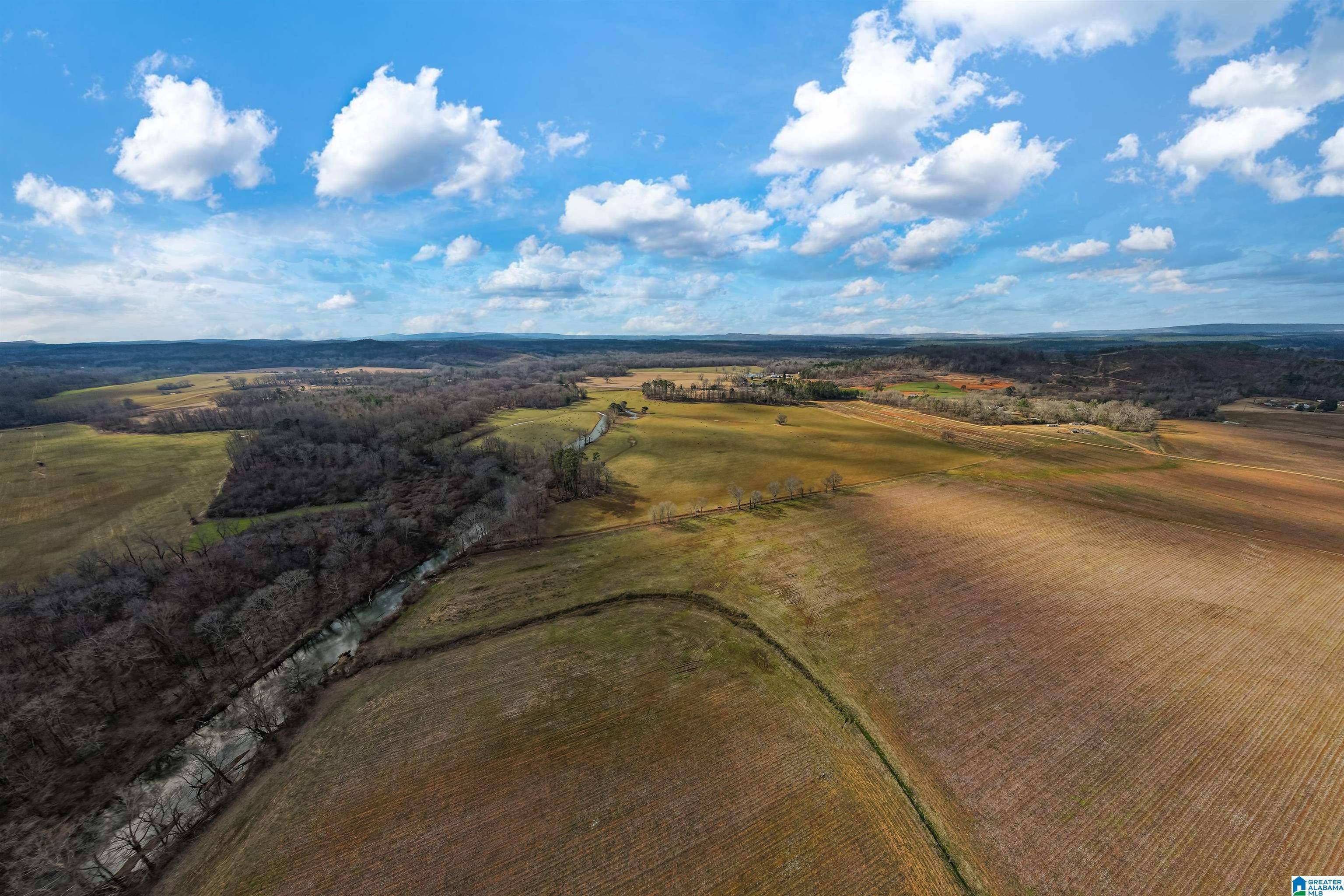 Vincent, AL 35178,4846 & 4882 HIGHWAY 231 #1