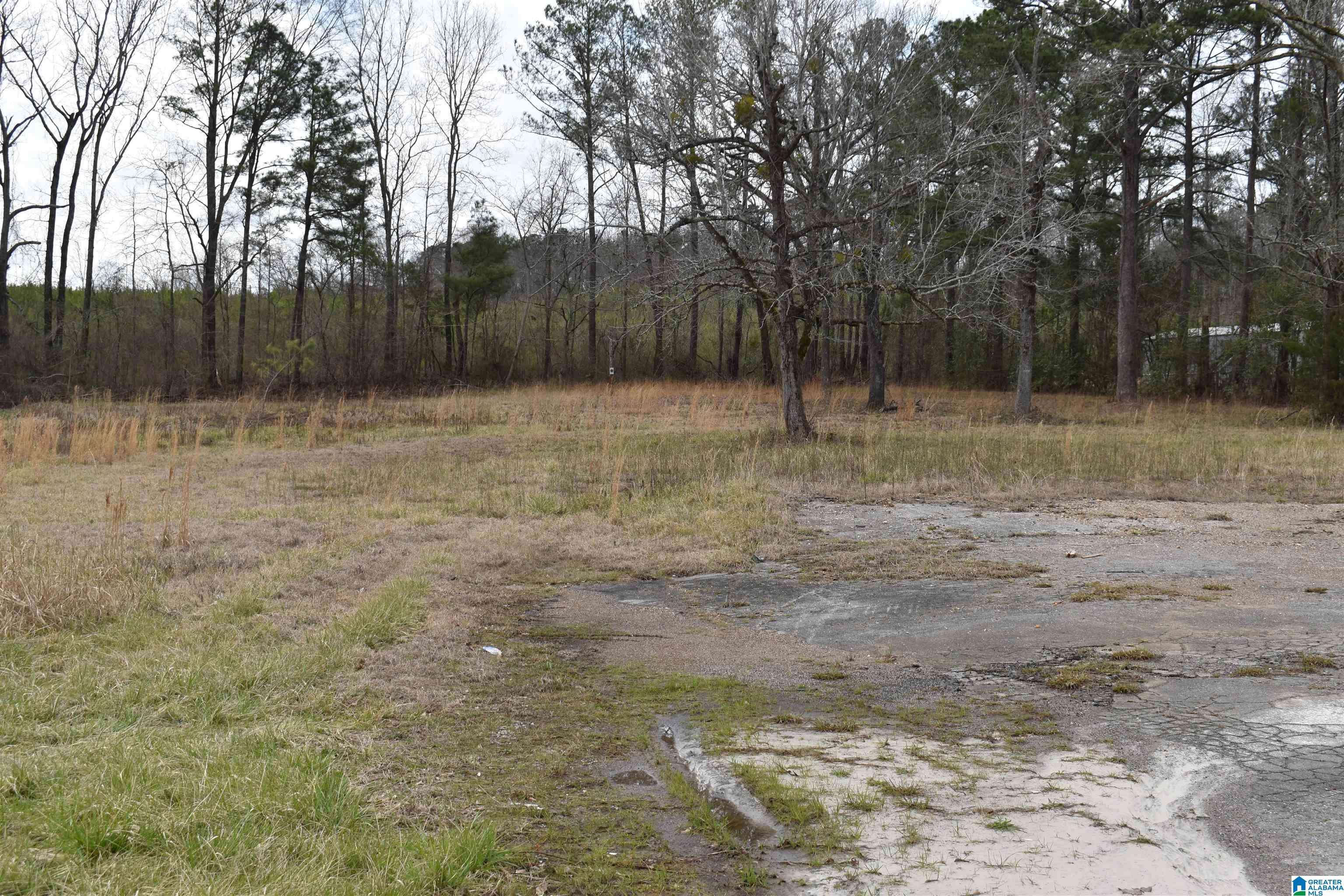 Wilsonville, AL 35186,31259 HIGHWAY 25