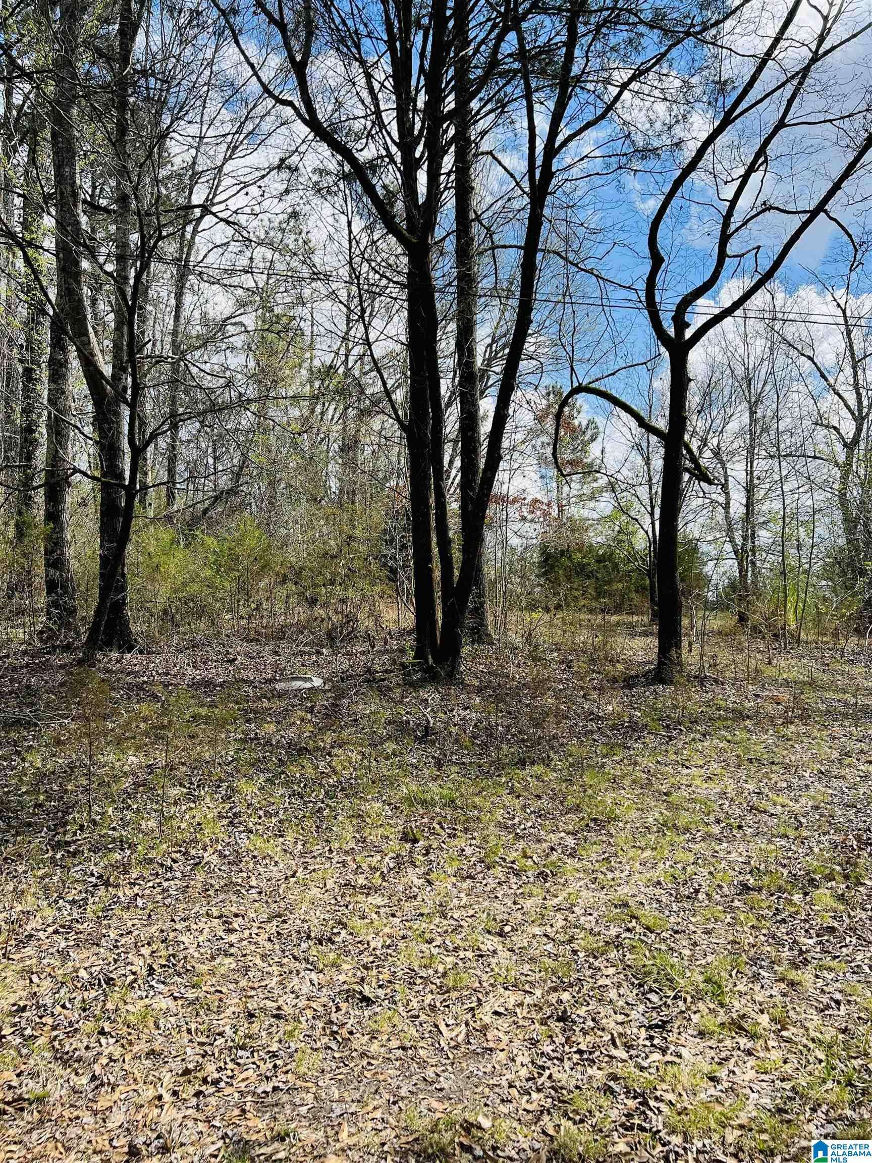 Riverside, AL 35135,STEWART ROAD #8