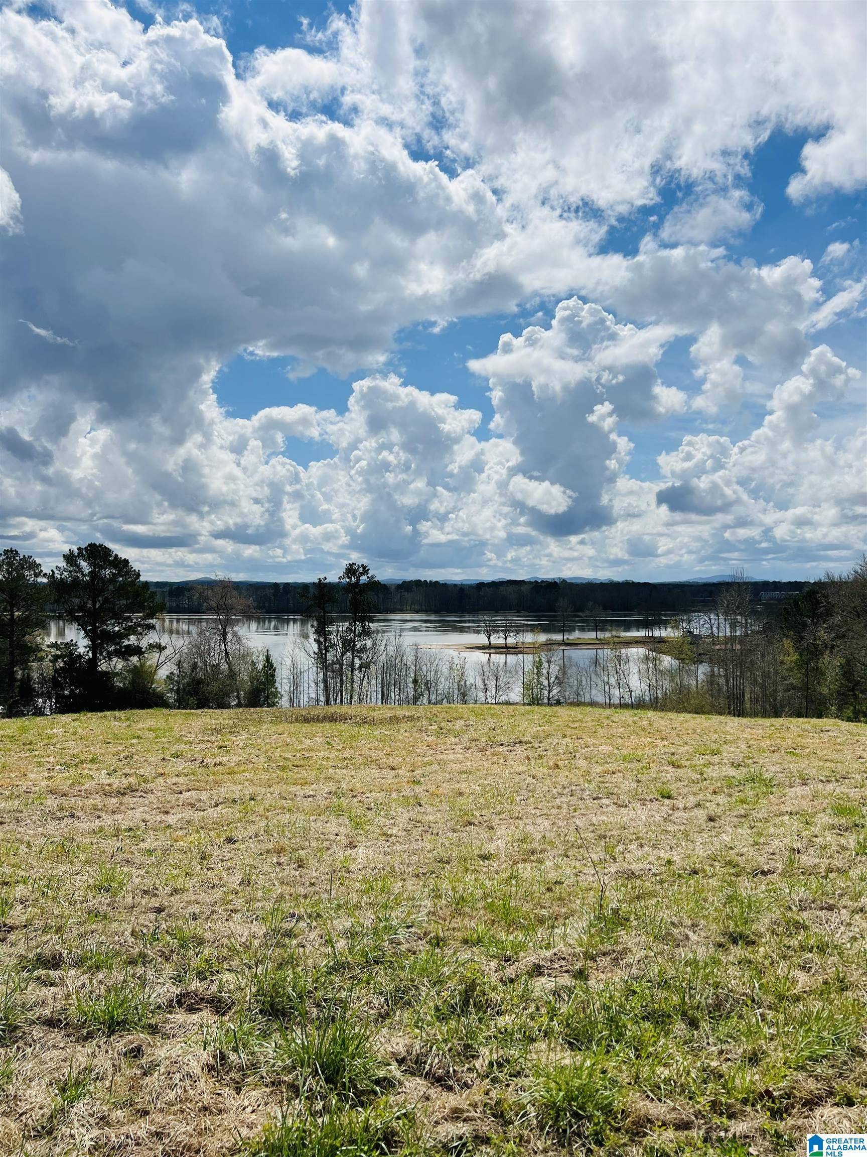 Riverside, AL 35135,STEWART ROAD #8